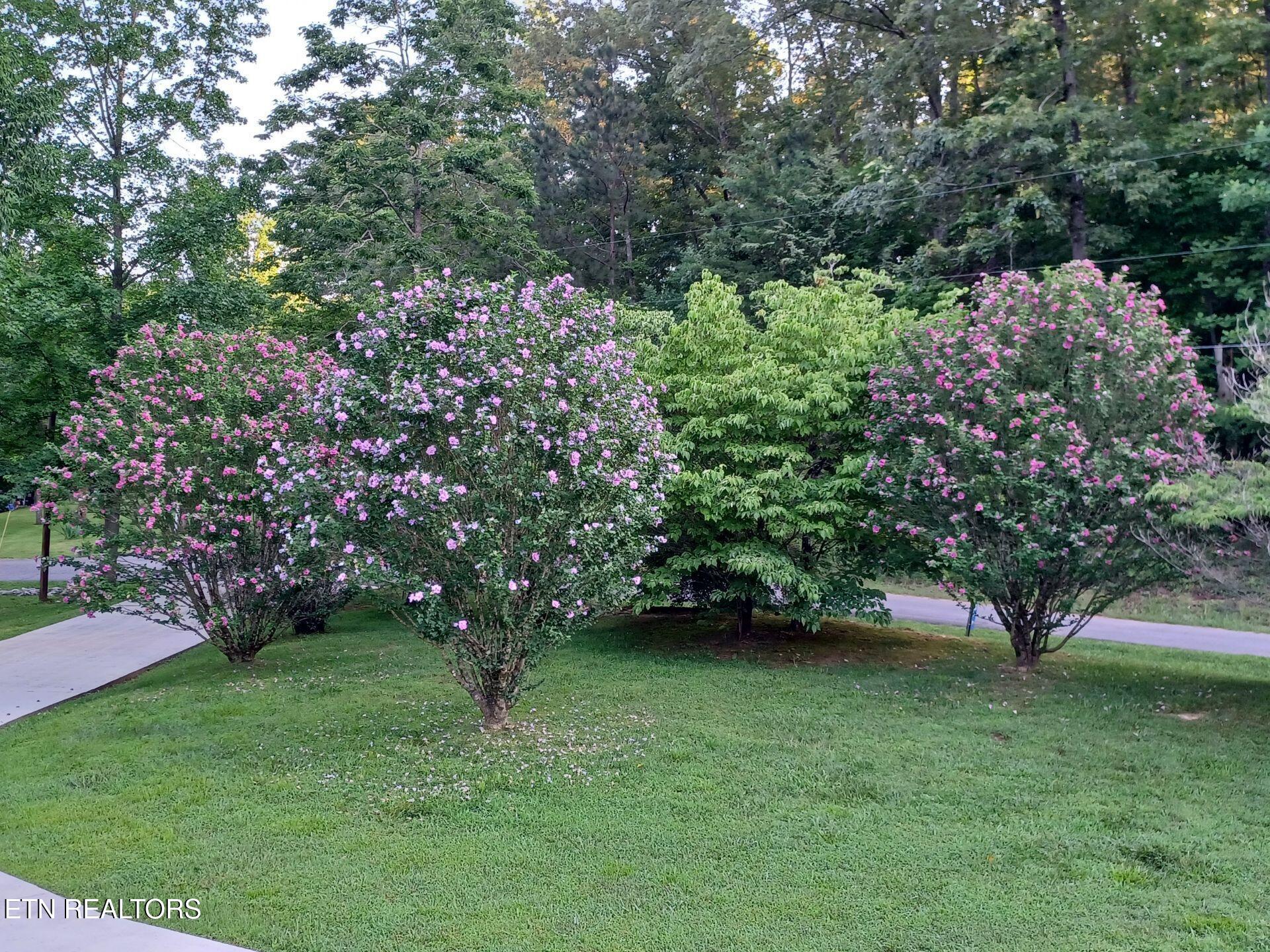 877 Laurel Lake Circle Madisonville TN 37354