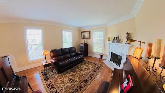 6908 Tallywood Circle Knoxville TN 37918