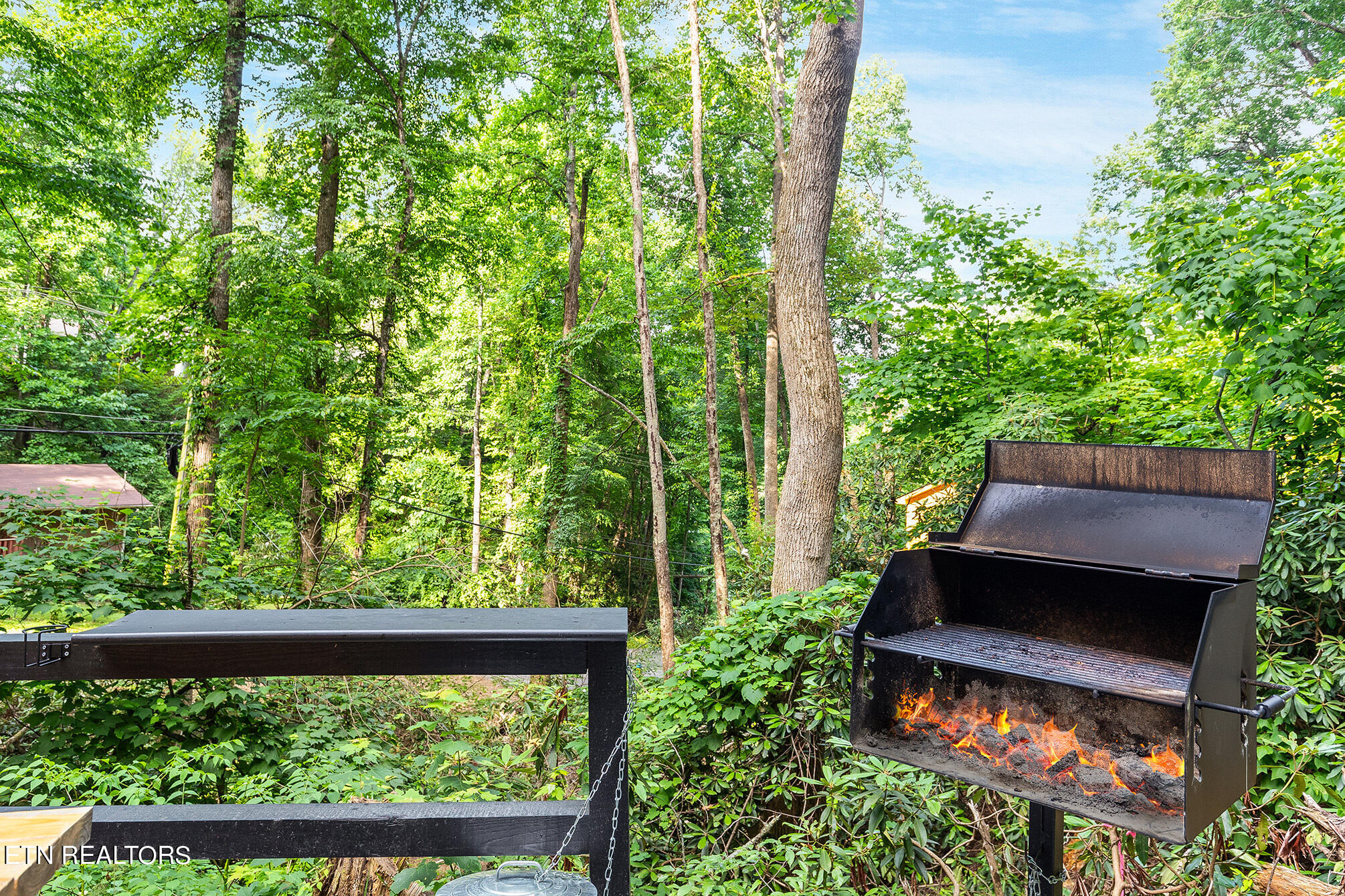 721 Heiden Drive Gatlinburg TN 37738