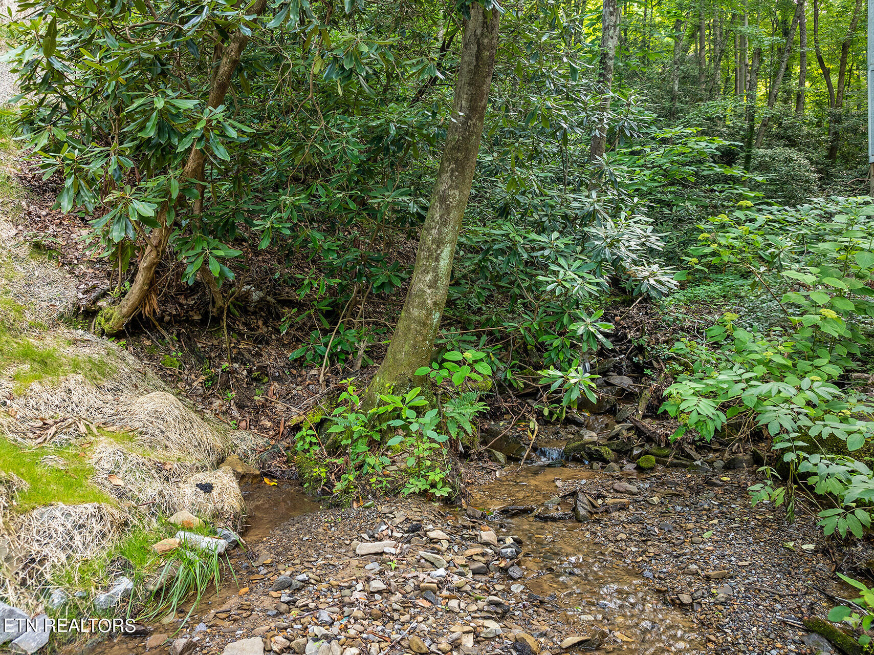 721 Heiden Drive Gatlinburg TN 37738