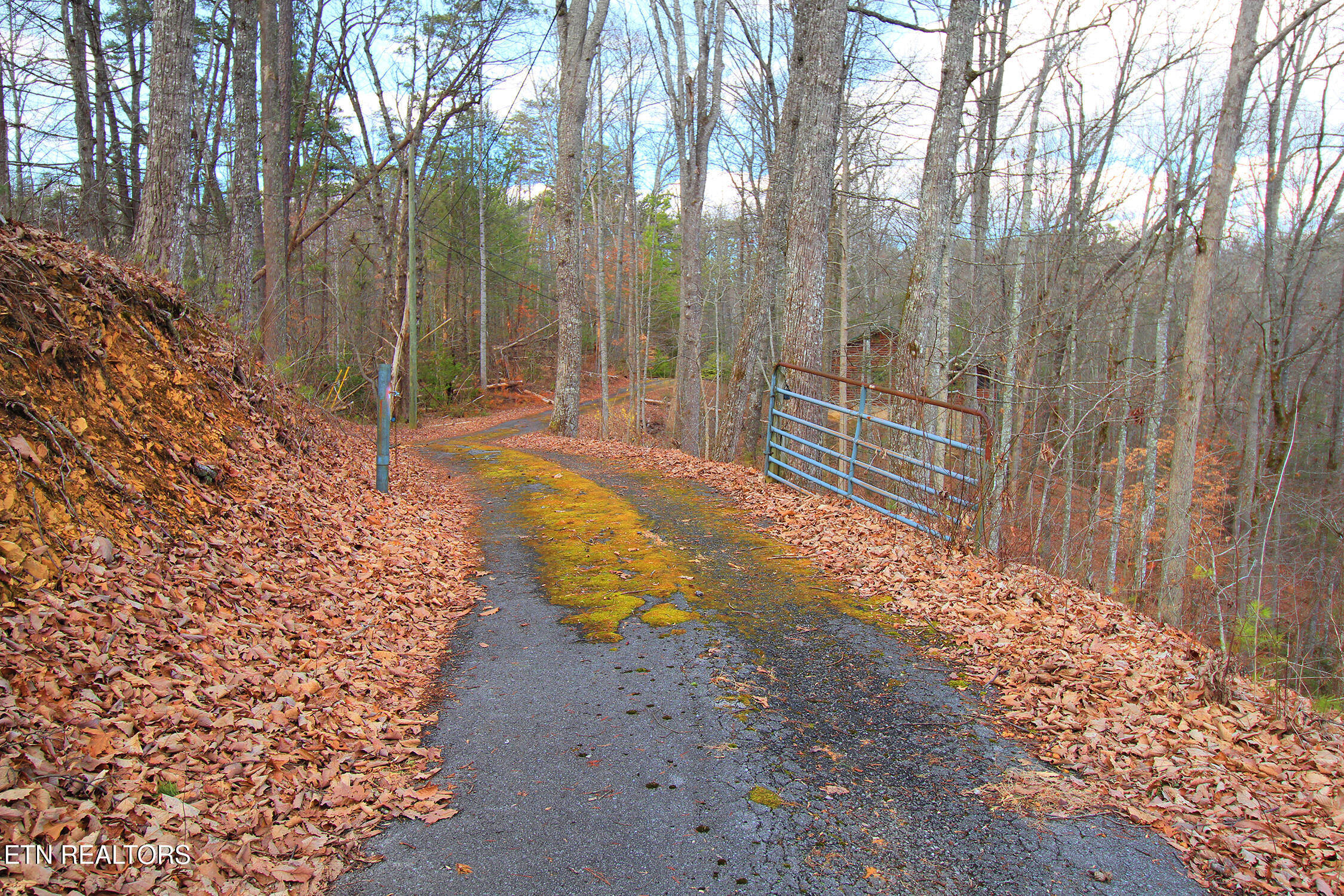 1923 Bales Way Sevierville TN 37876