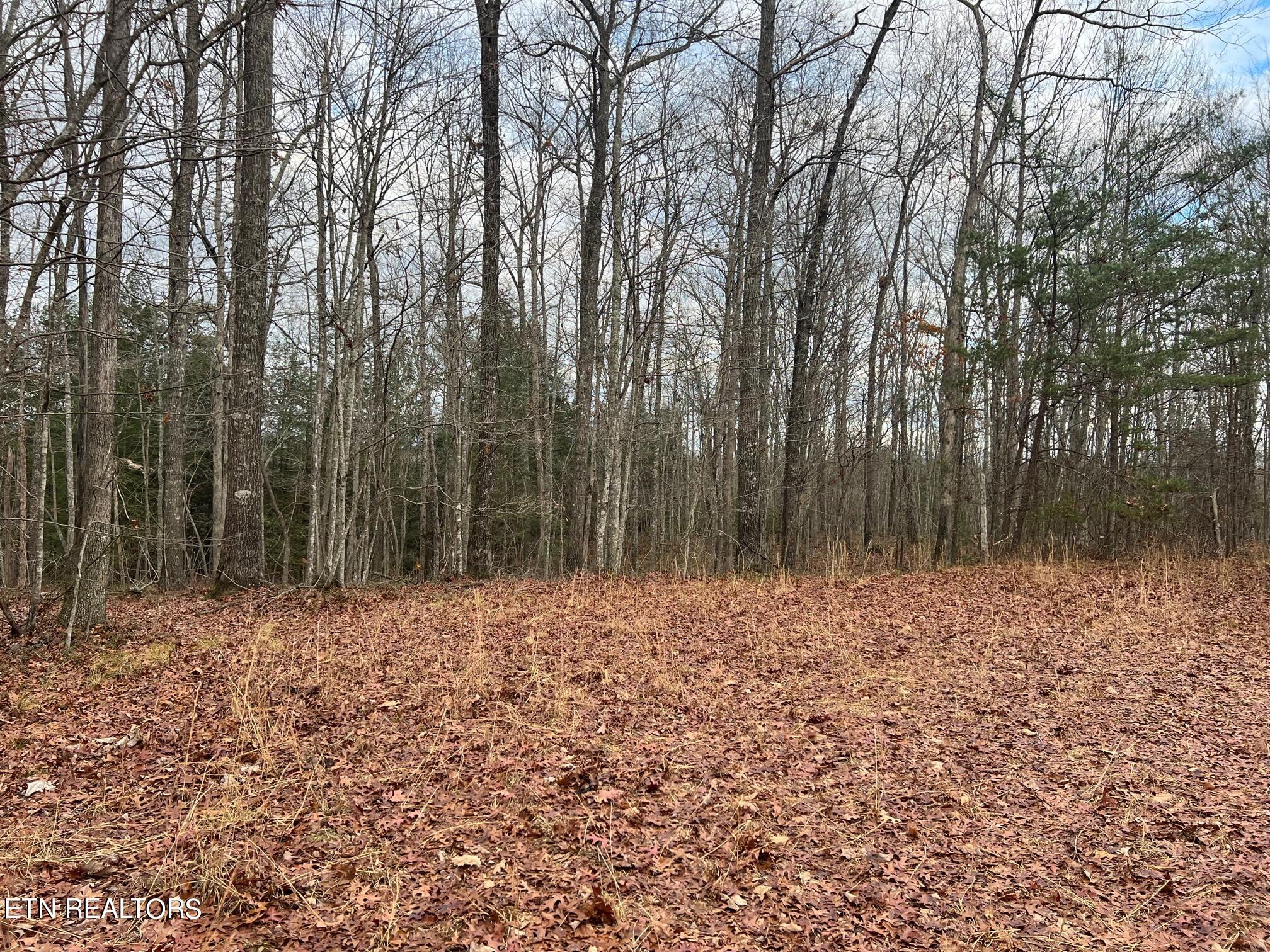 265 Maggie Valley Drive Drive Jamestown TN 38556