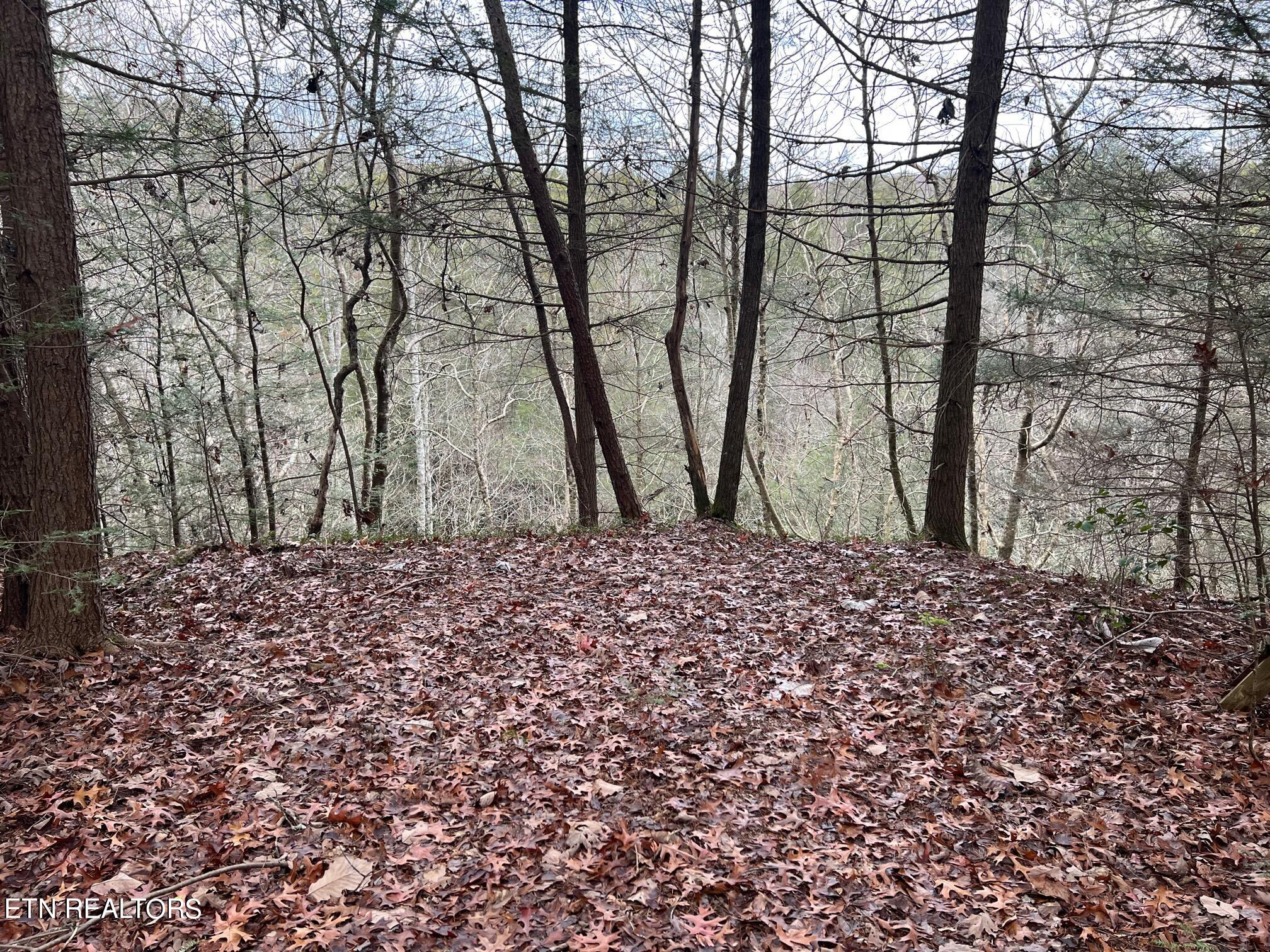 265 Maggie Valley Drive Drive Jamestown TN 38556