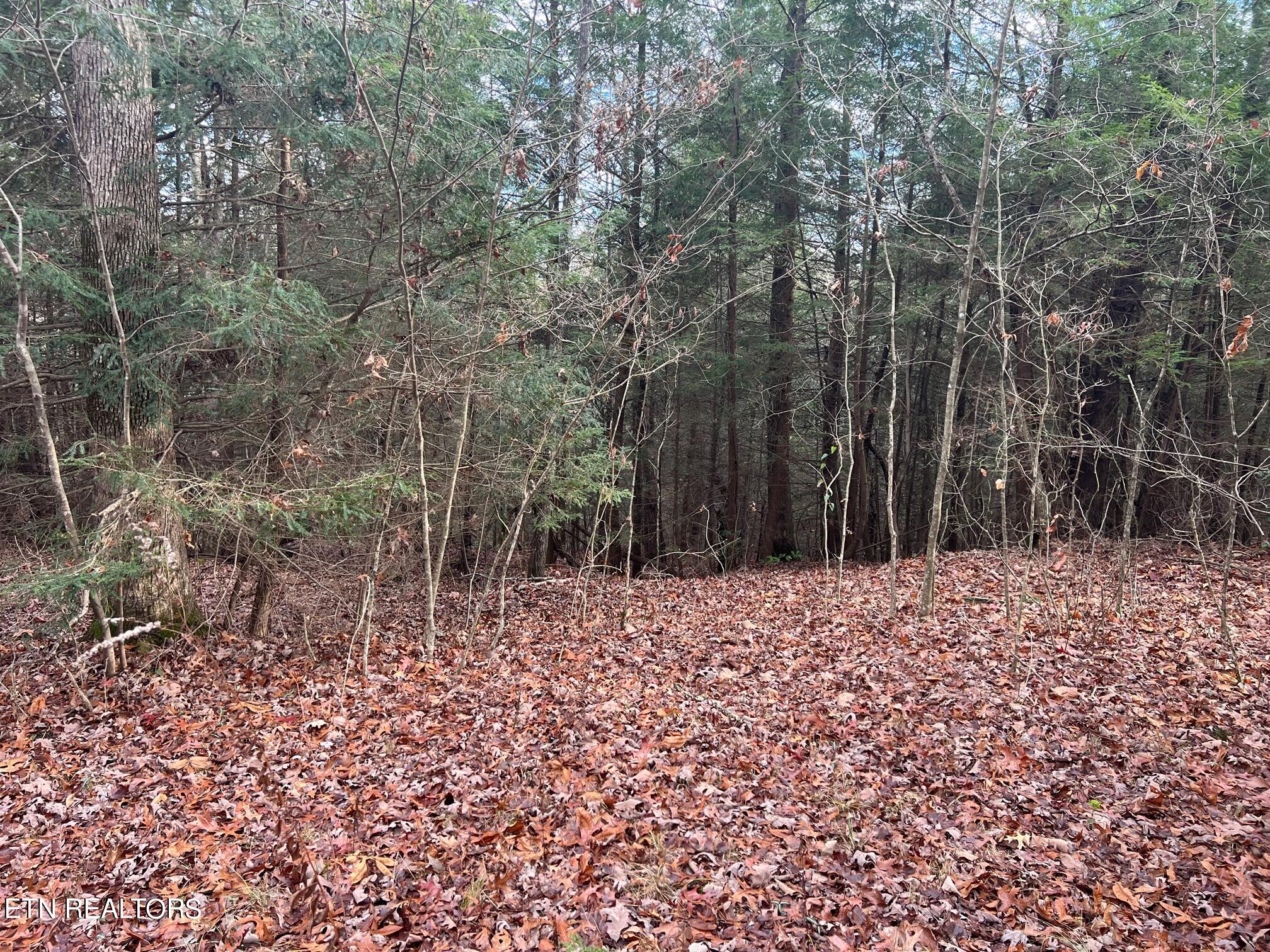 265 Maggie Valley Drive Drive Jamestown TN 38556
