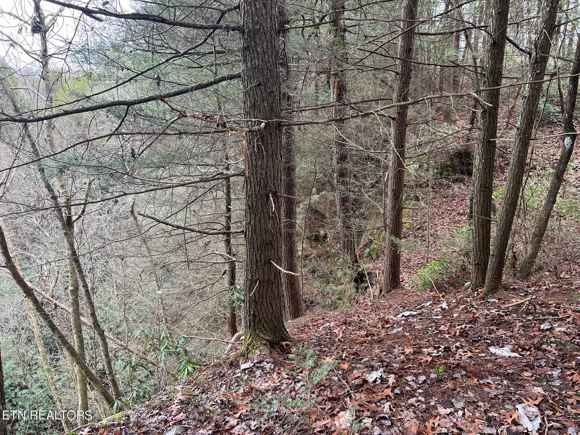 265 Maggie Valley Drive Drive Jamestown TN 38556