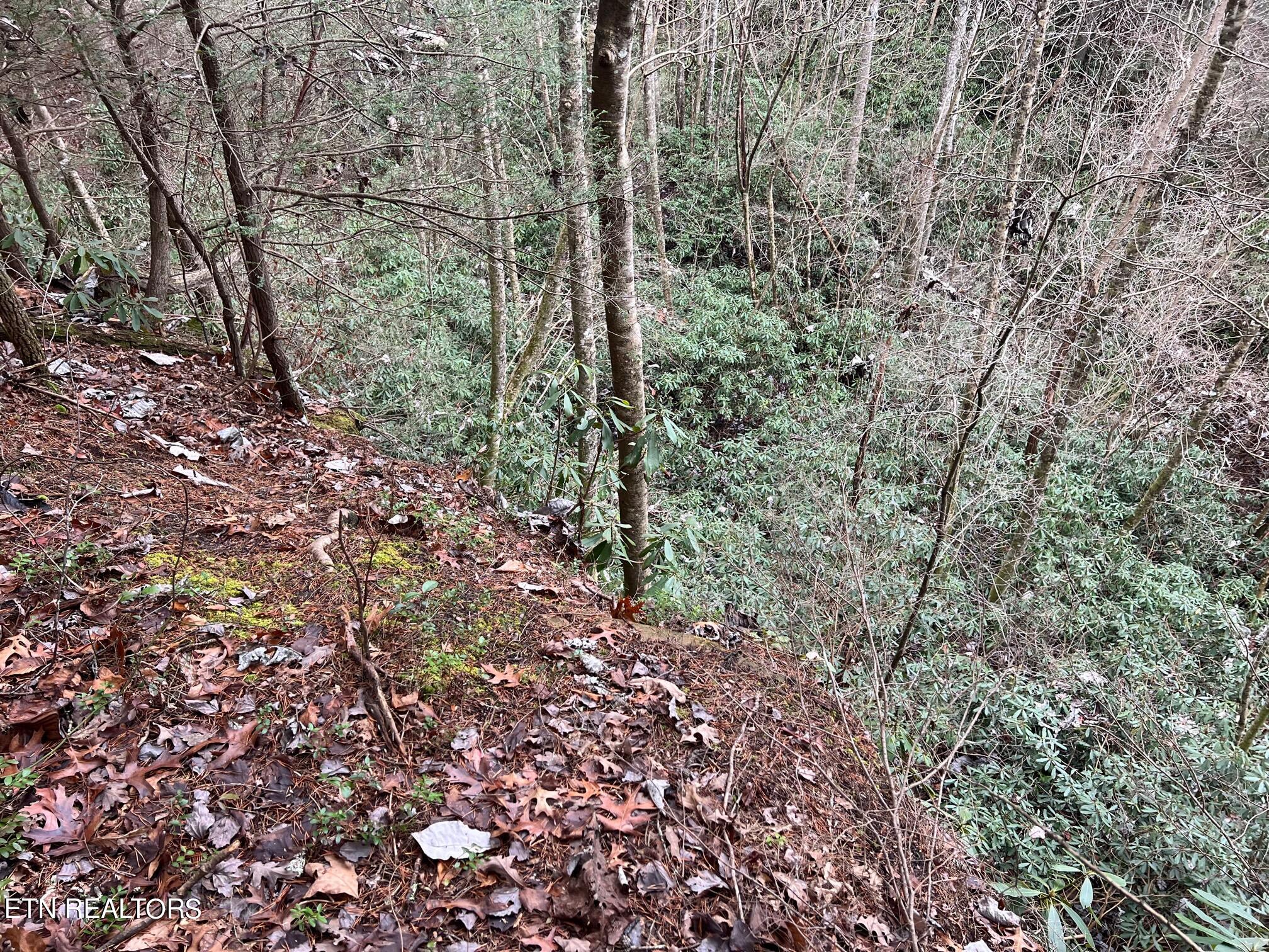 265 Maggie Valley Drive Drive Jamestown TN 38556