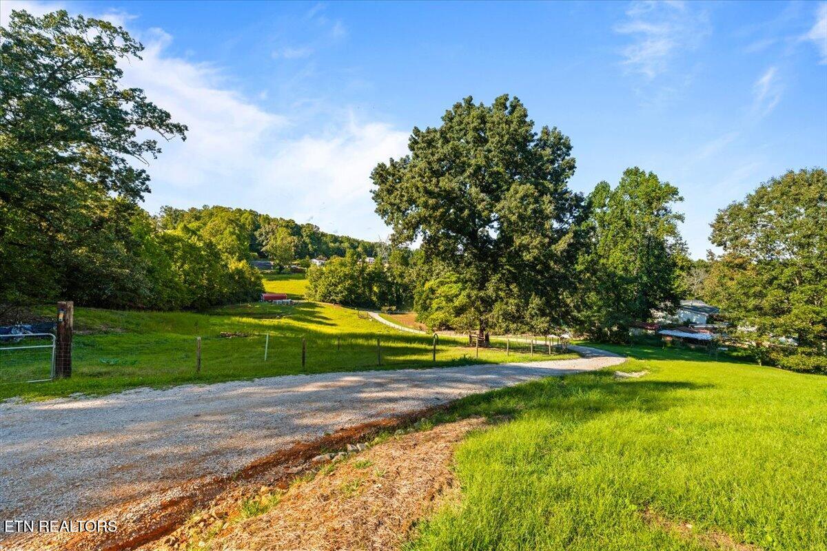 555 New Clear Branch Road Rocky Top TN 37769