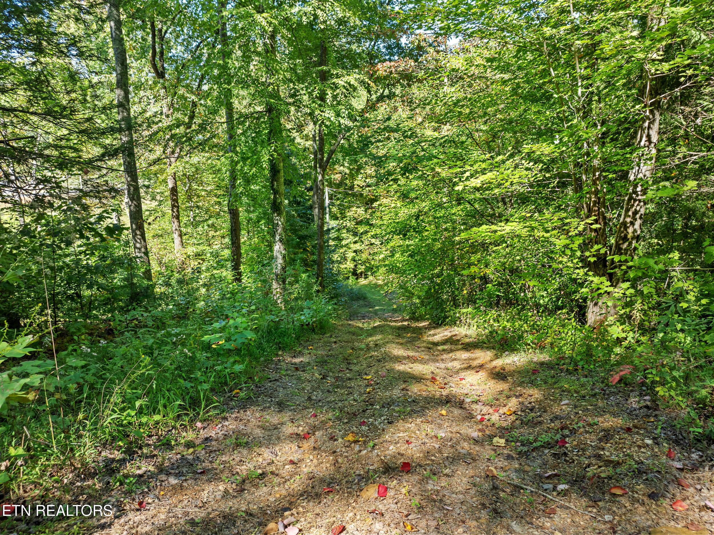 3748 Ginseng Way Sevierville TN 37862
