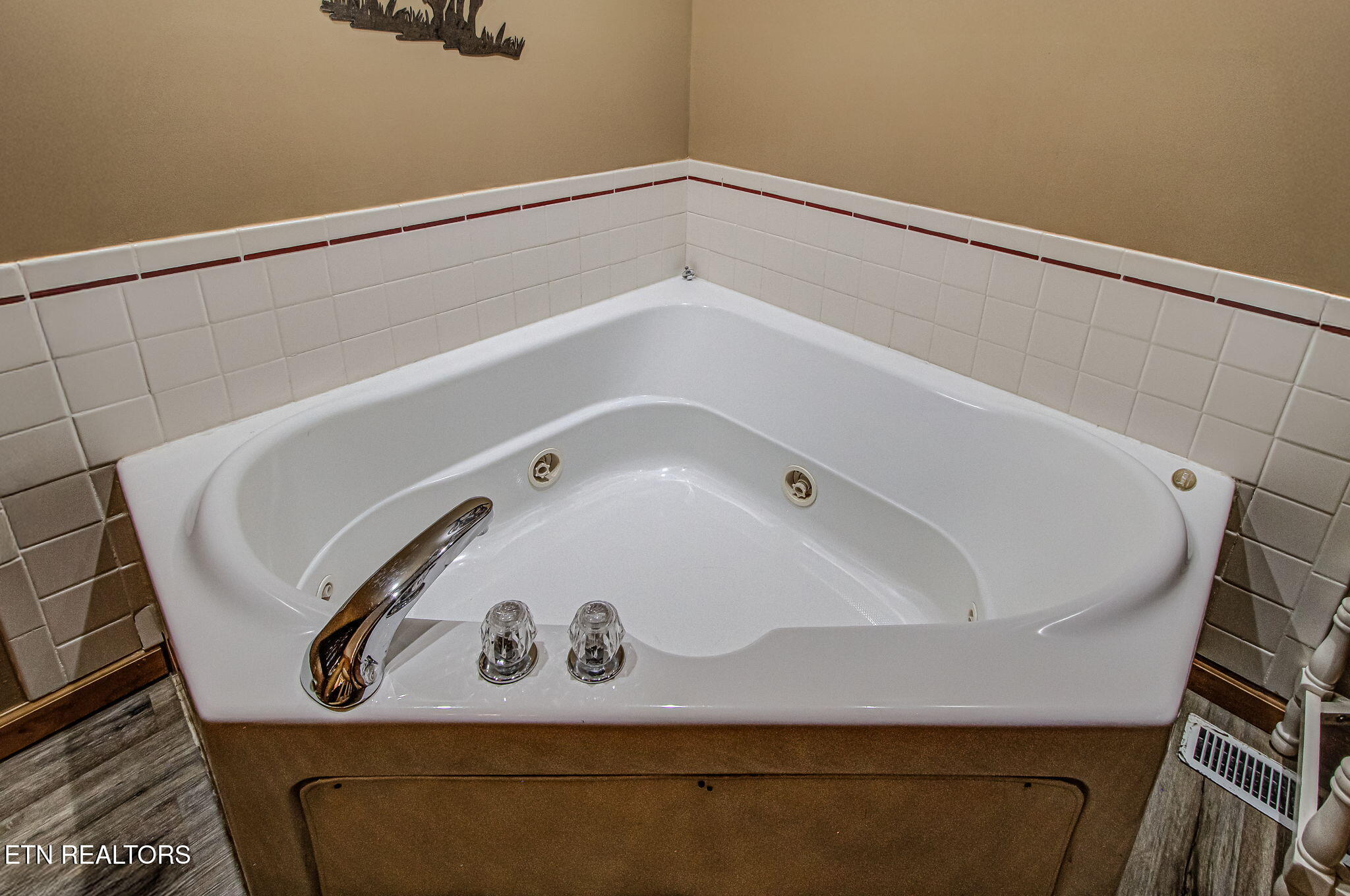 216 Whaley Drive Gatlinburg TN 37738