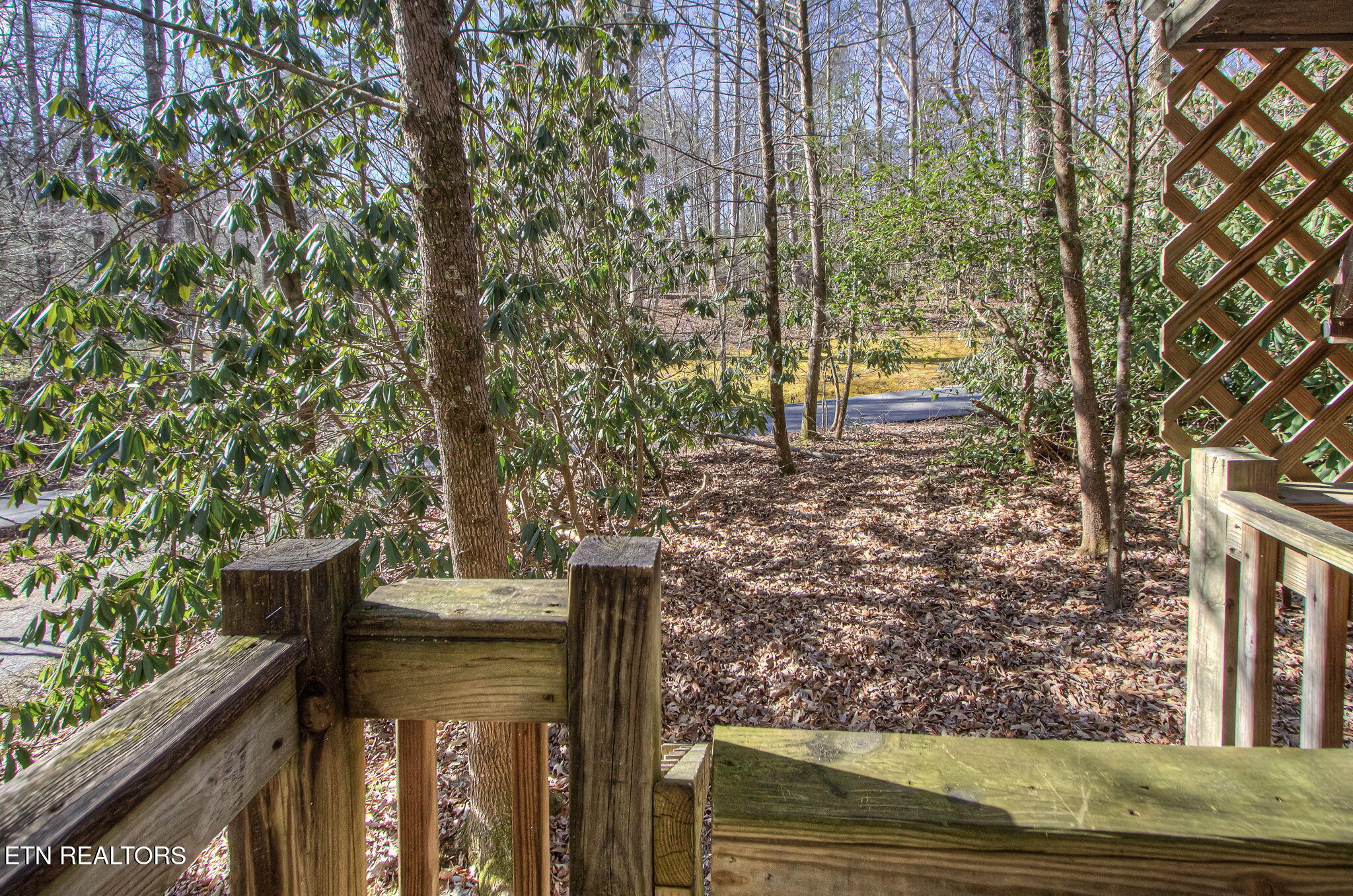 216 Whaley Drive Gatlinburg TN 37738