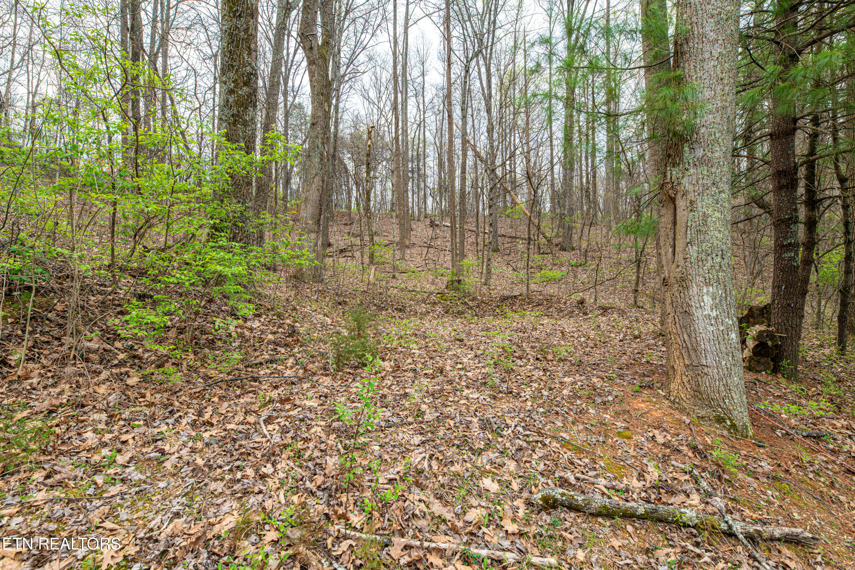6601 Hilda Lane Knoxville TN 37921