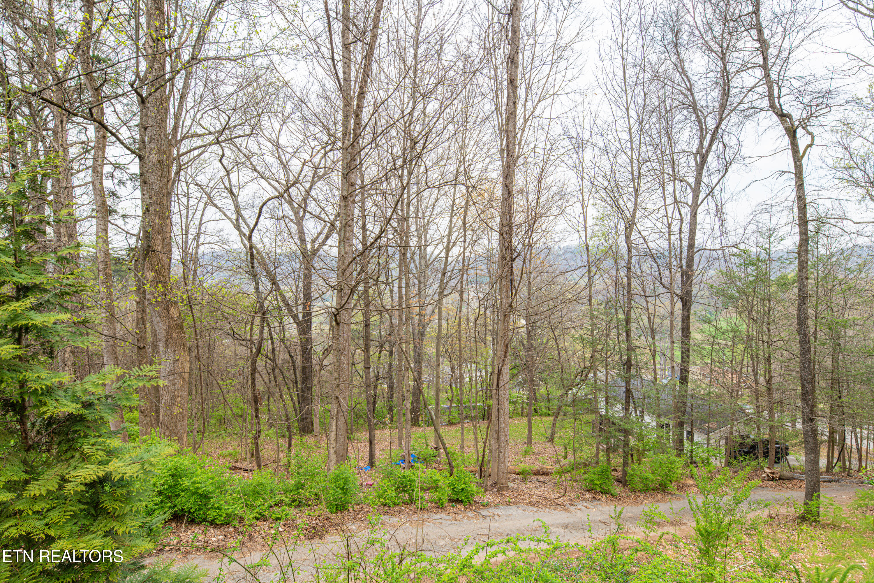 6601 Hilda Lane Knoxville TN 37921