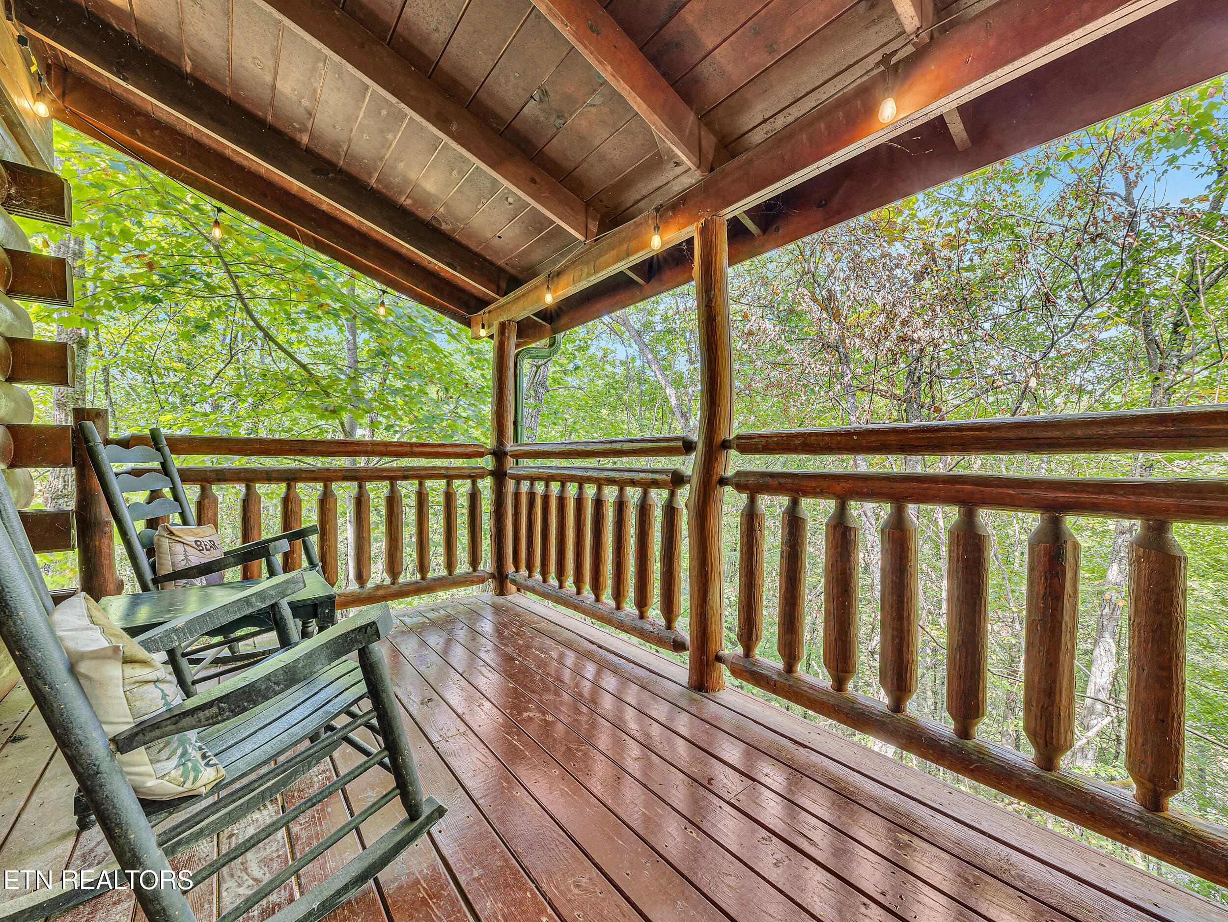 1906 Buckeye View Way Sevierville TN 37876