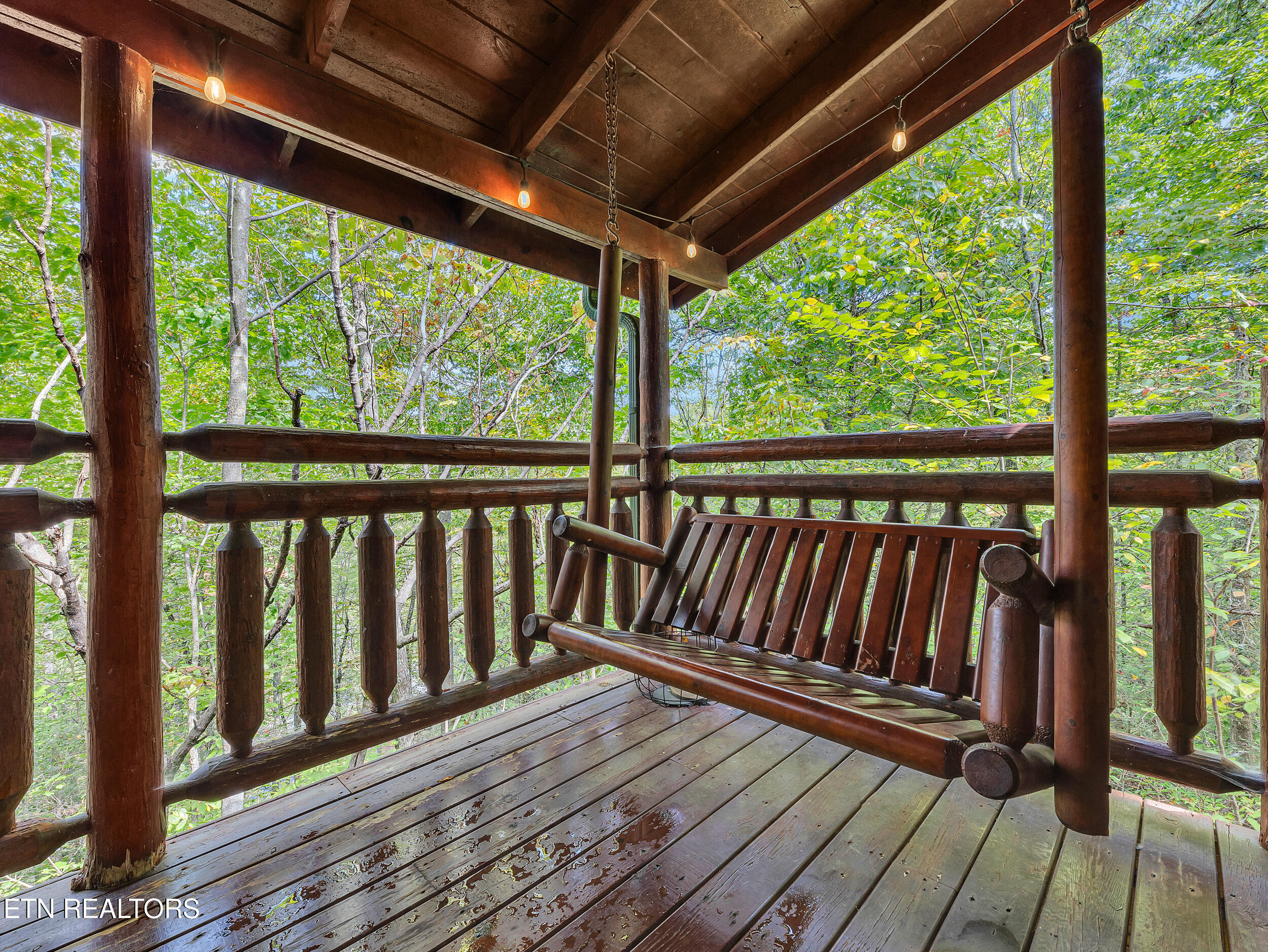 1906 Buckeye View Way Sevierville TN 37876