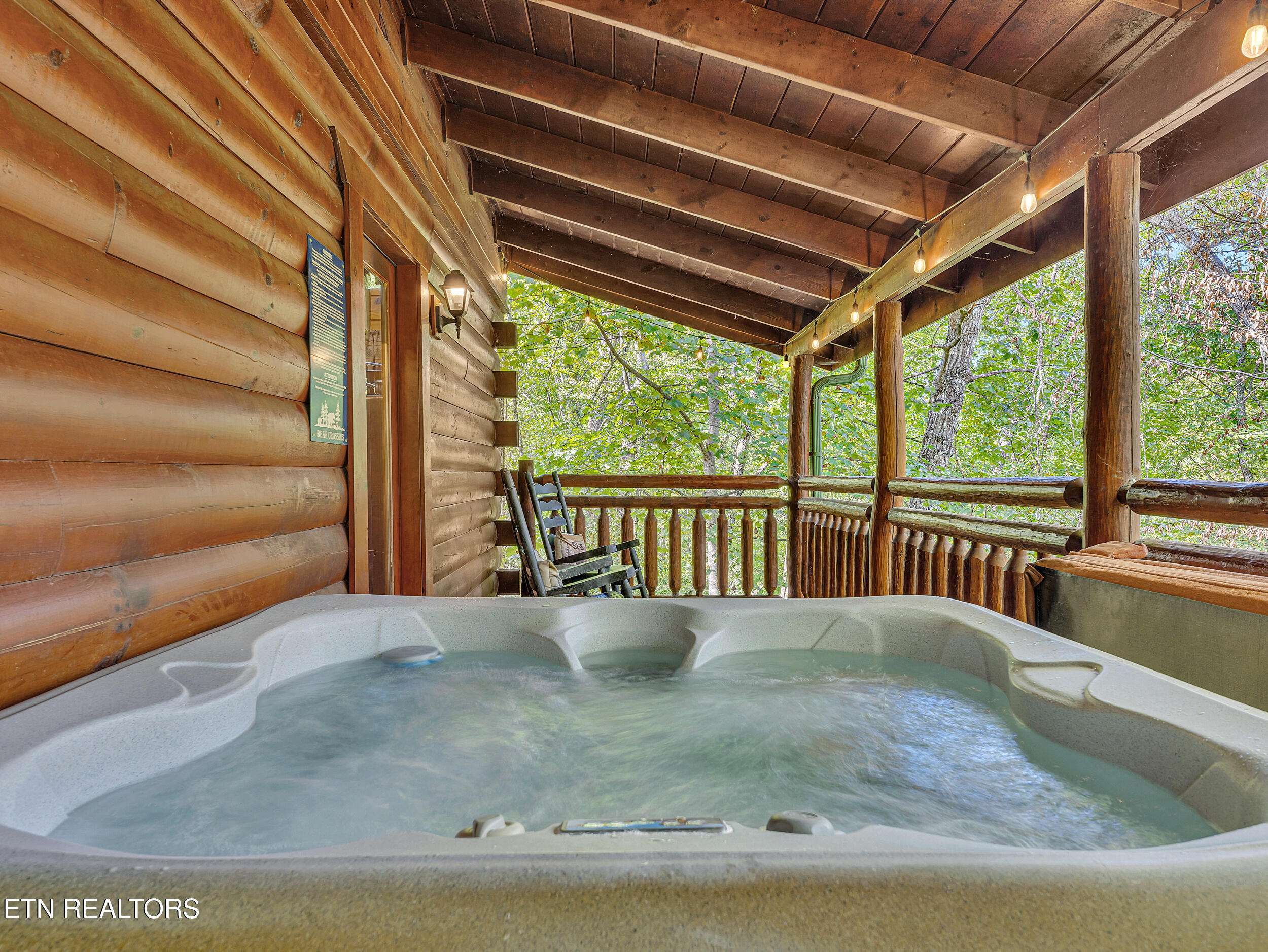 1906 Buckeye View Way Sevierville TN 37876