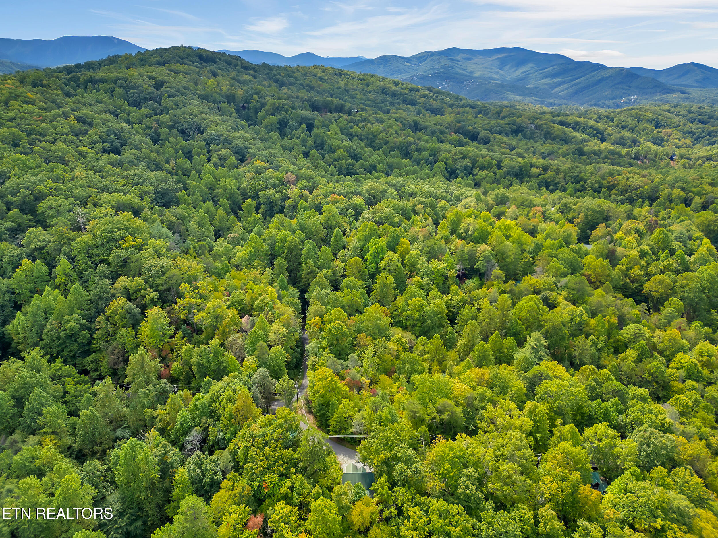 1906 Buckeye View Way Sevierville TN 37876