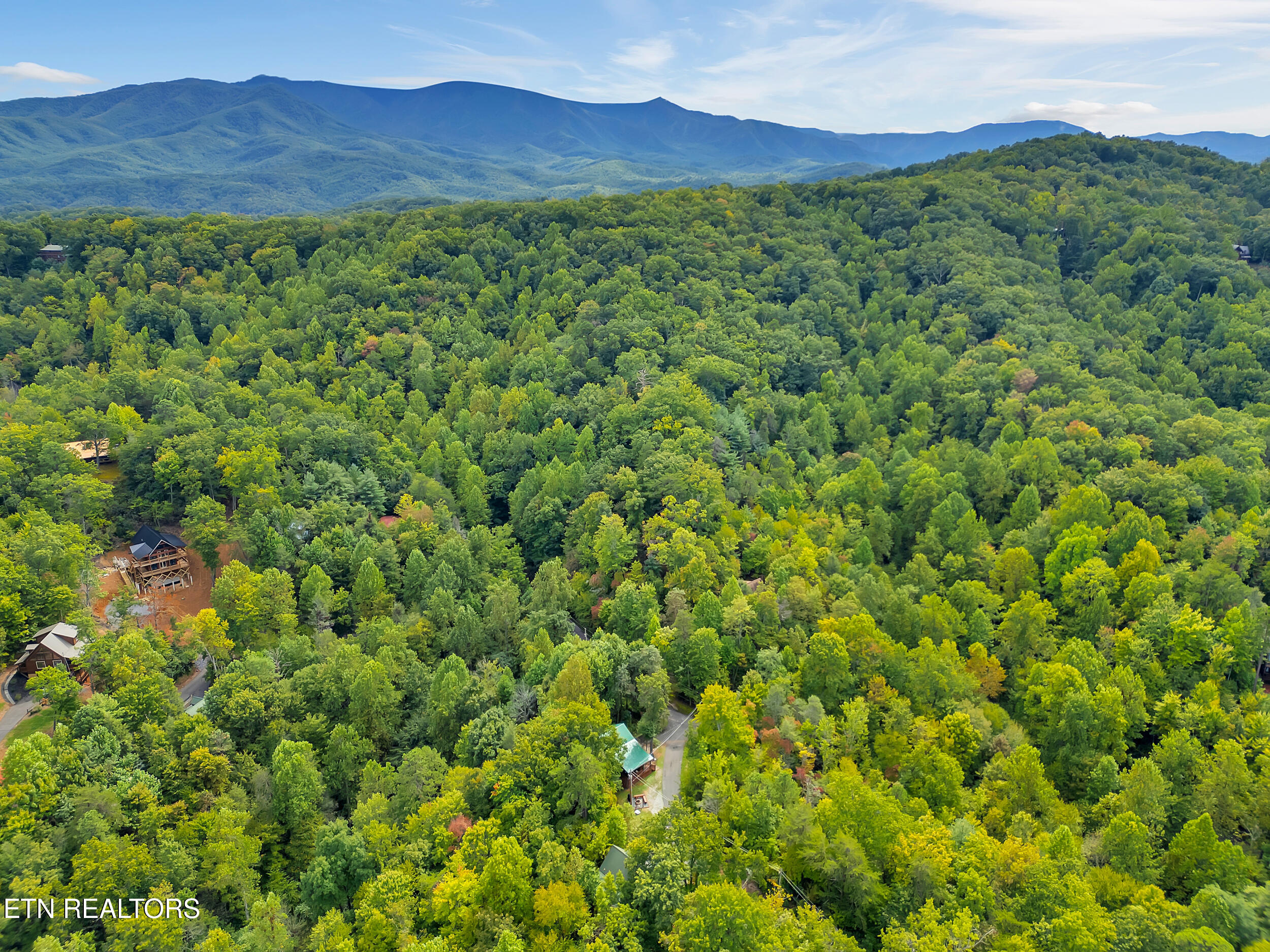 1906 Buckeye View Way Sevierville TN 37876