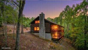 4438 E Scenic Drive Gatlinburg TN 37738