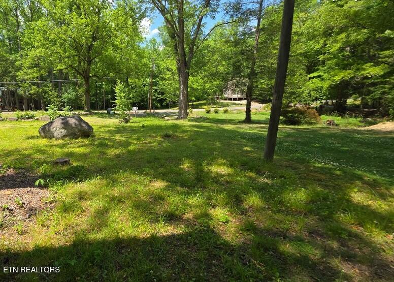 4438 E Scenic Drive Gatlinburg TN 37738