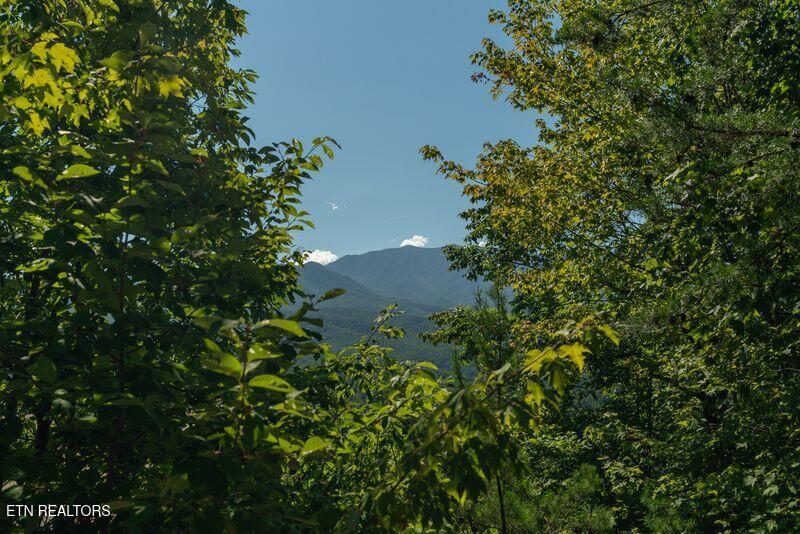 1126 E Foothills Drive Gatlinburg TN 37738