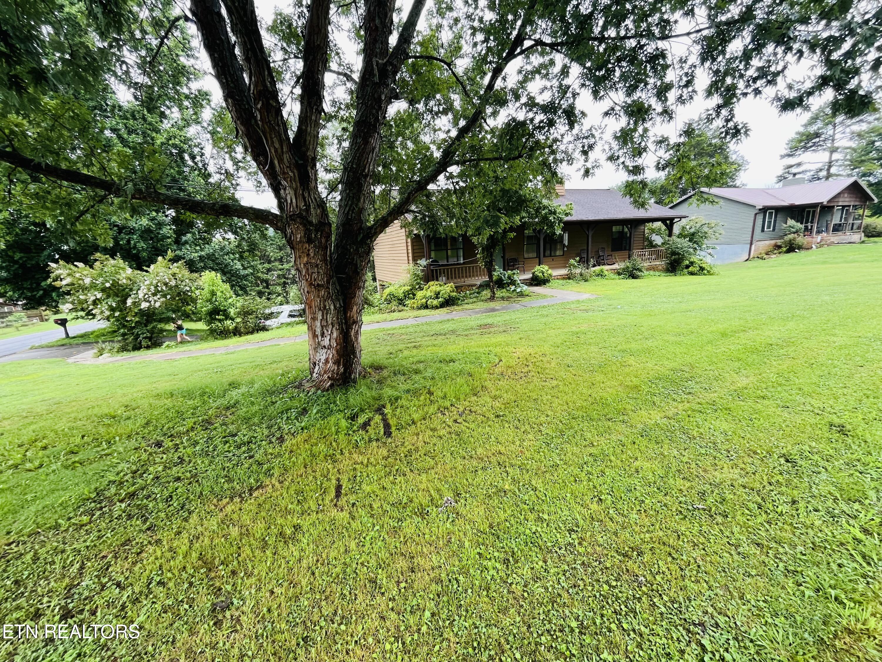 204 Mohawk Circle Seymour TN 37865