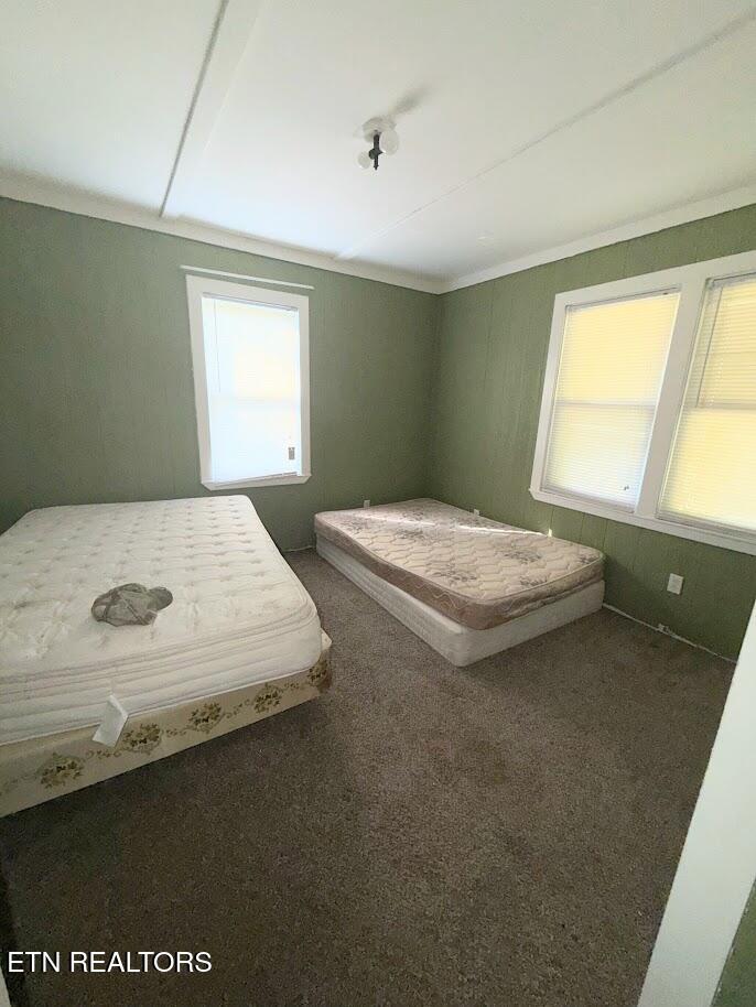 147 Sleepy Hollow Road Speedwell TN 37870