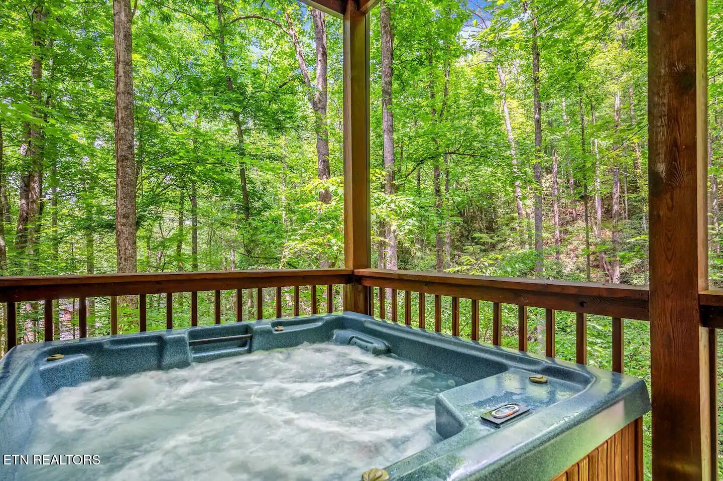 2429 Shady Creek Way Sevierville TN 37862