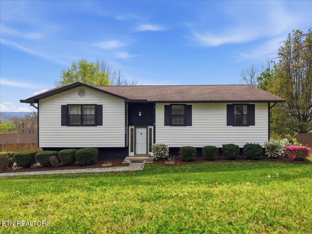 239 Bello Road Tazewell TN 37879