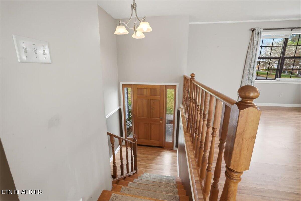 239 Bello Road Tazewell TN 37879