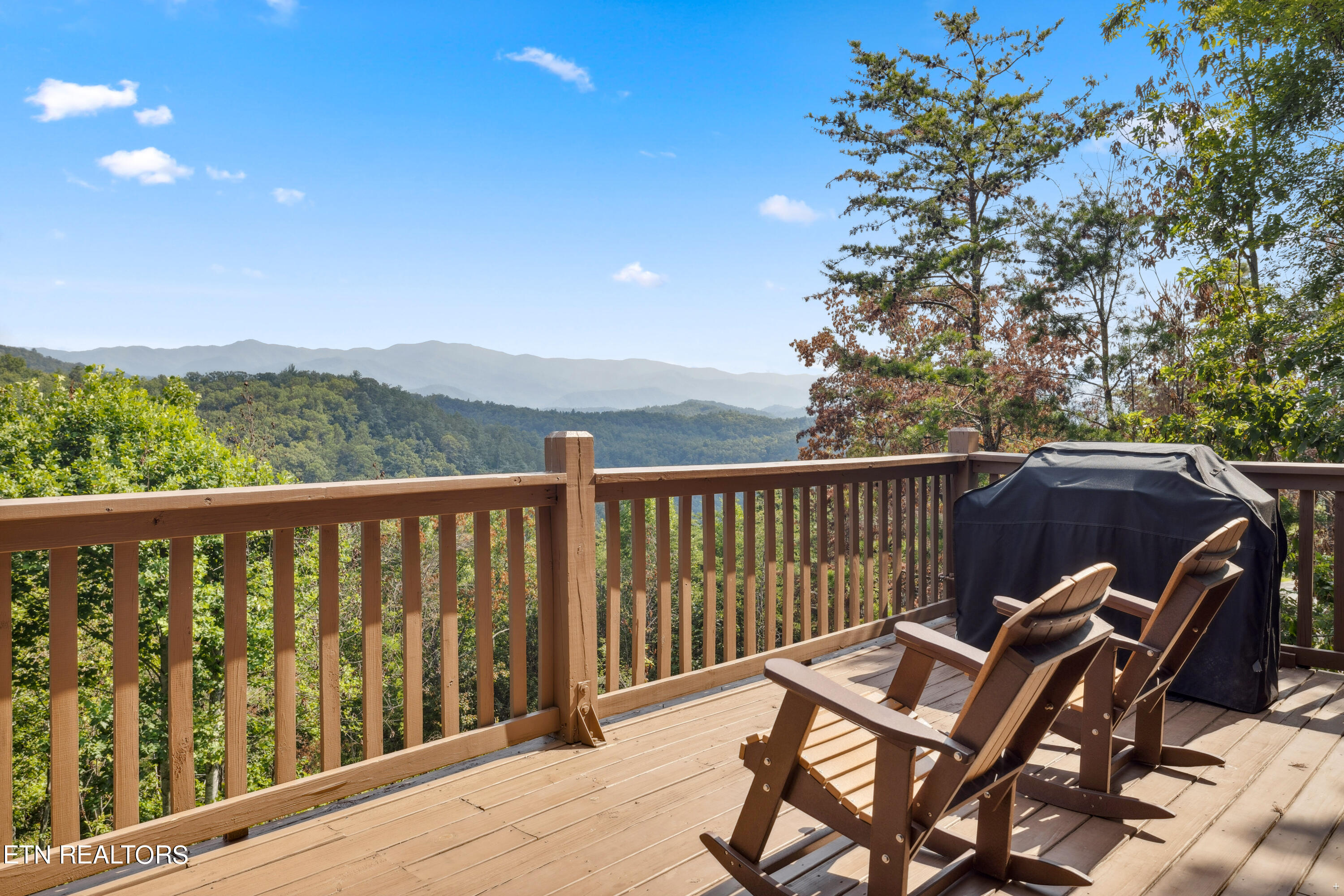 1424 Rocky Top Way Townsend TN 37882