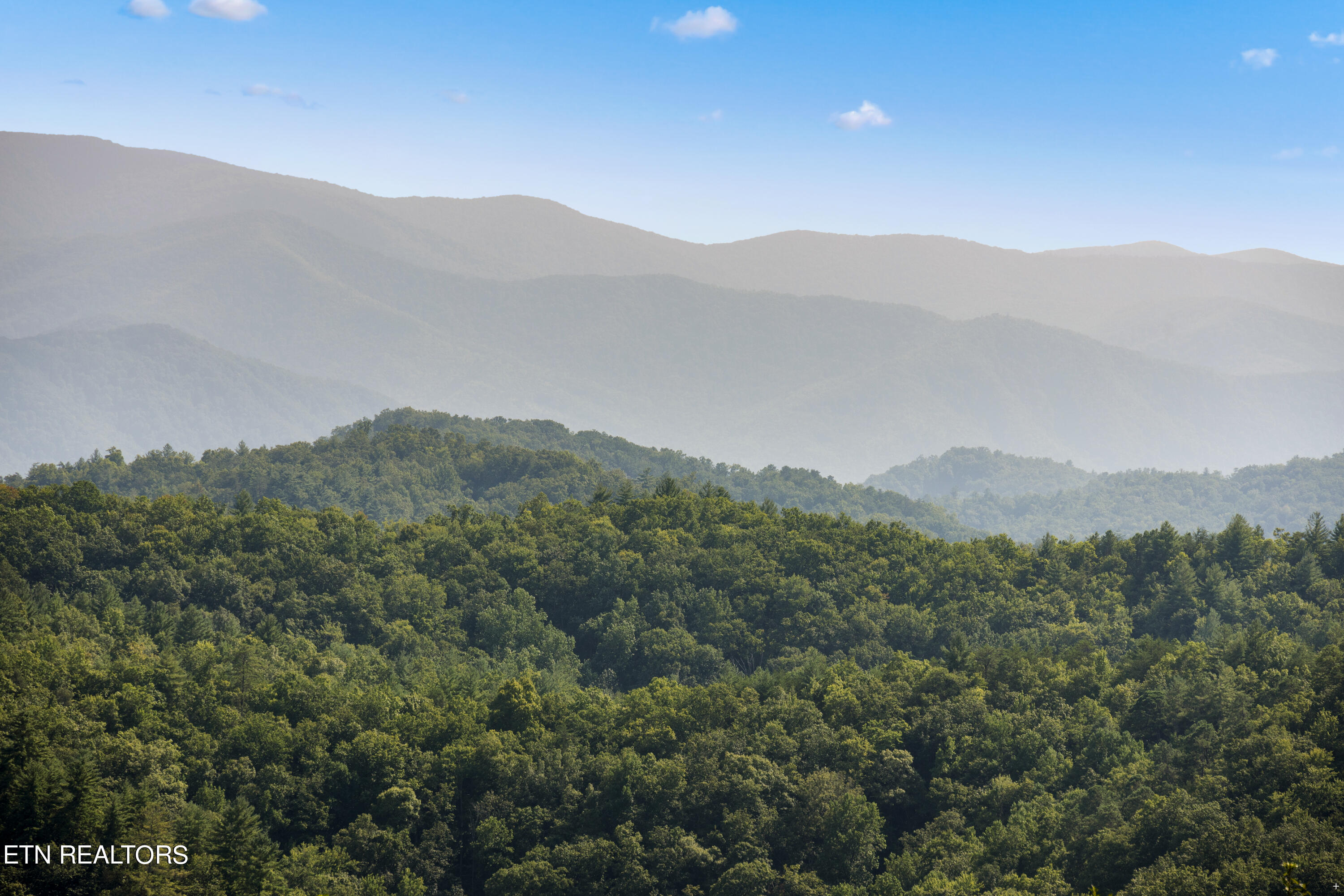 1424 Rocky Top Way Townsend TN 37882