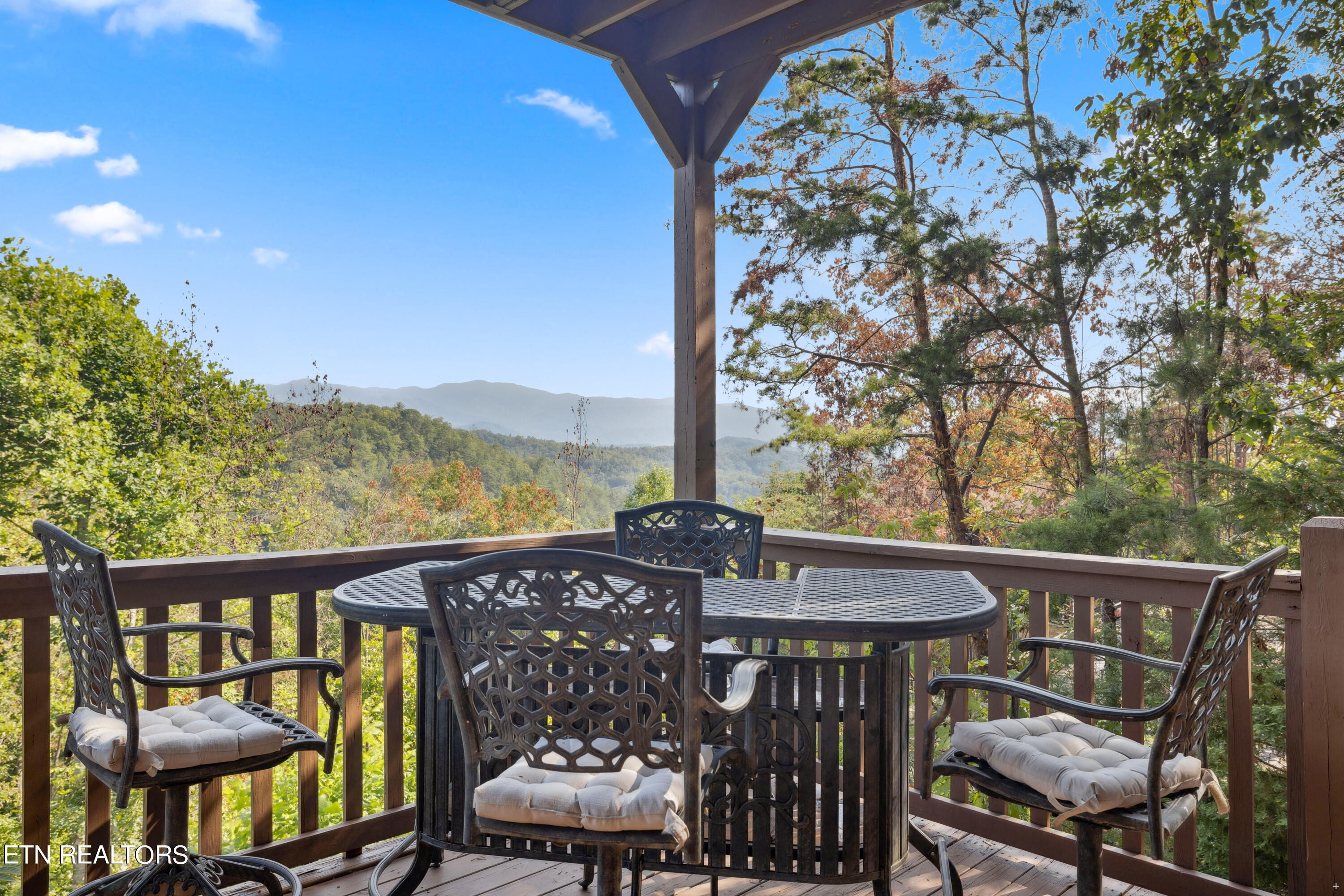 1424 Rocky Top Way Townsend TN 37882