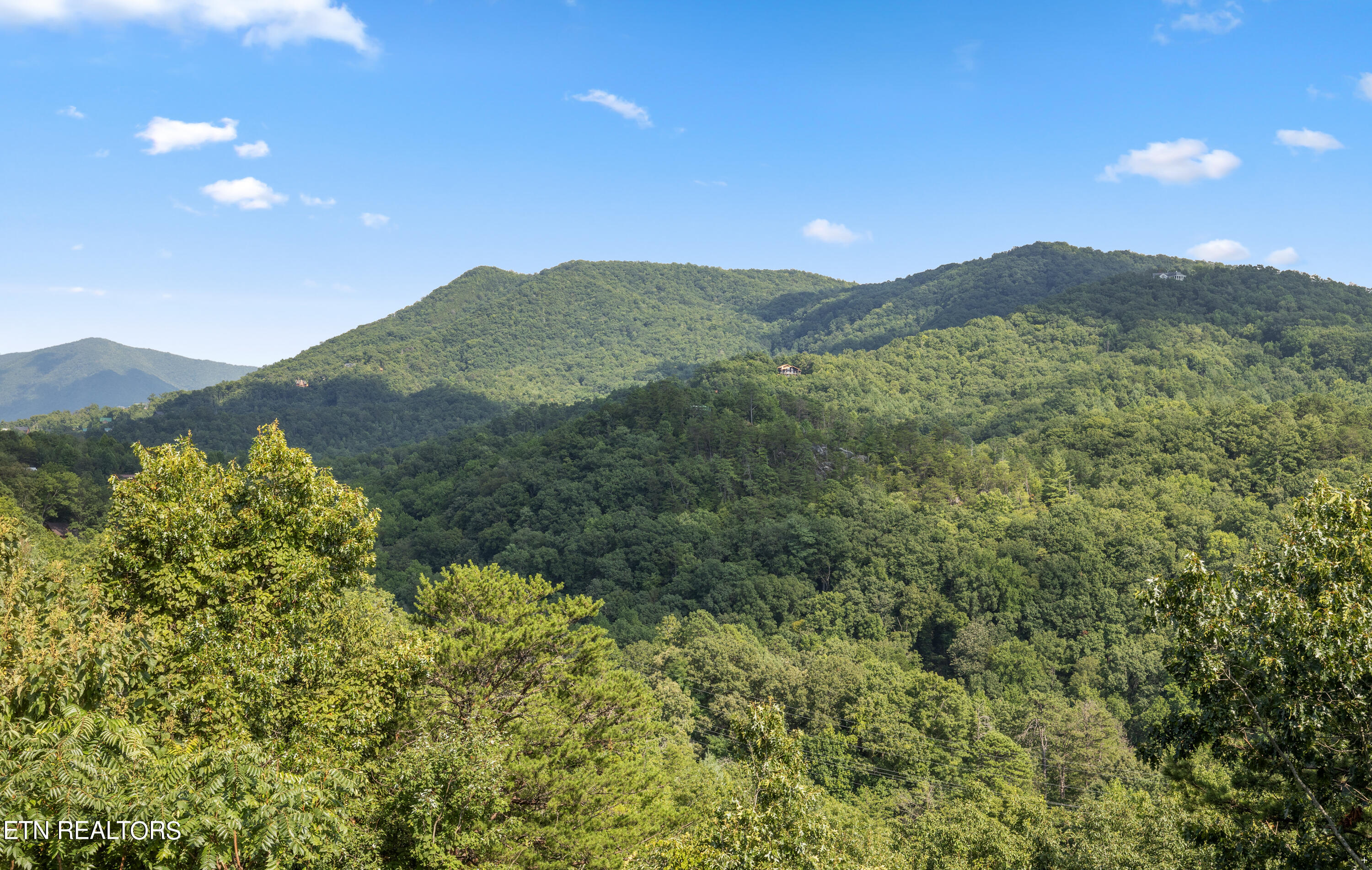 1424 Rocky Top Way Townsend TN 37882
