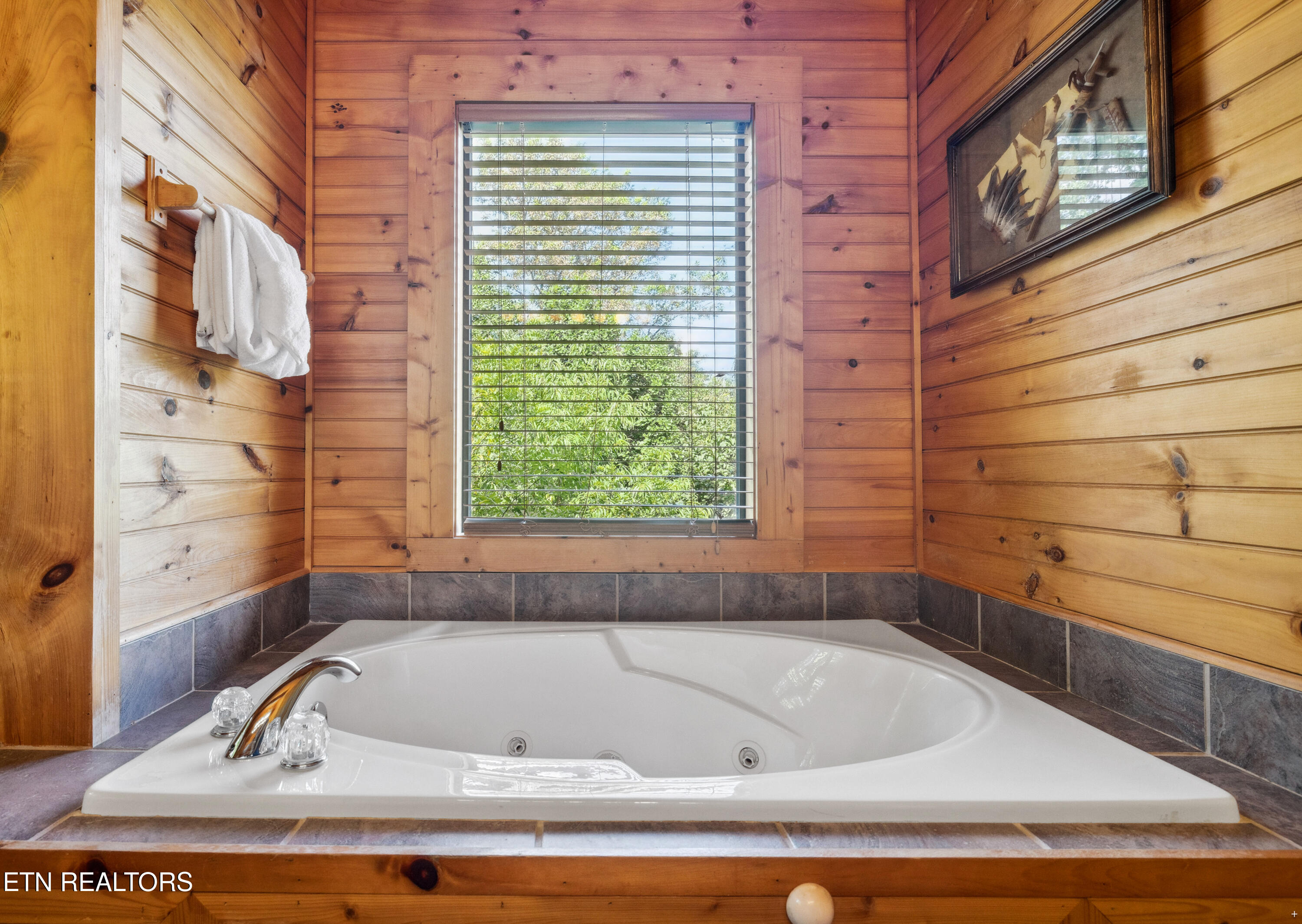 1424 Rocky Top Way Townsend TN 37882
