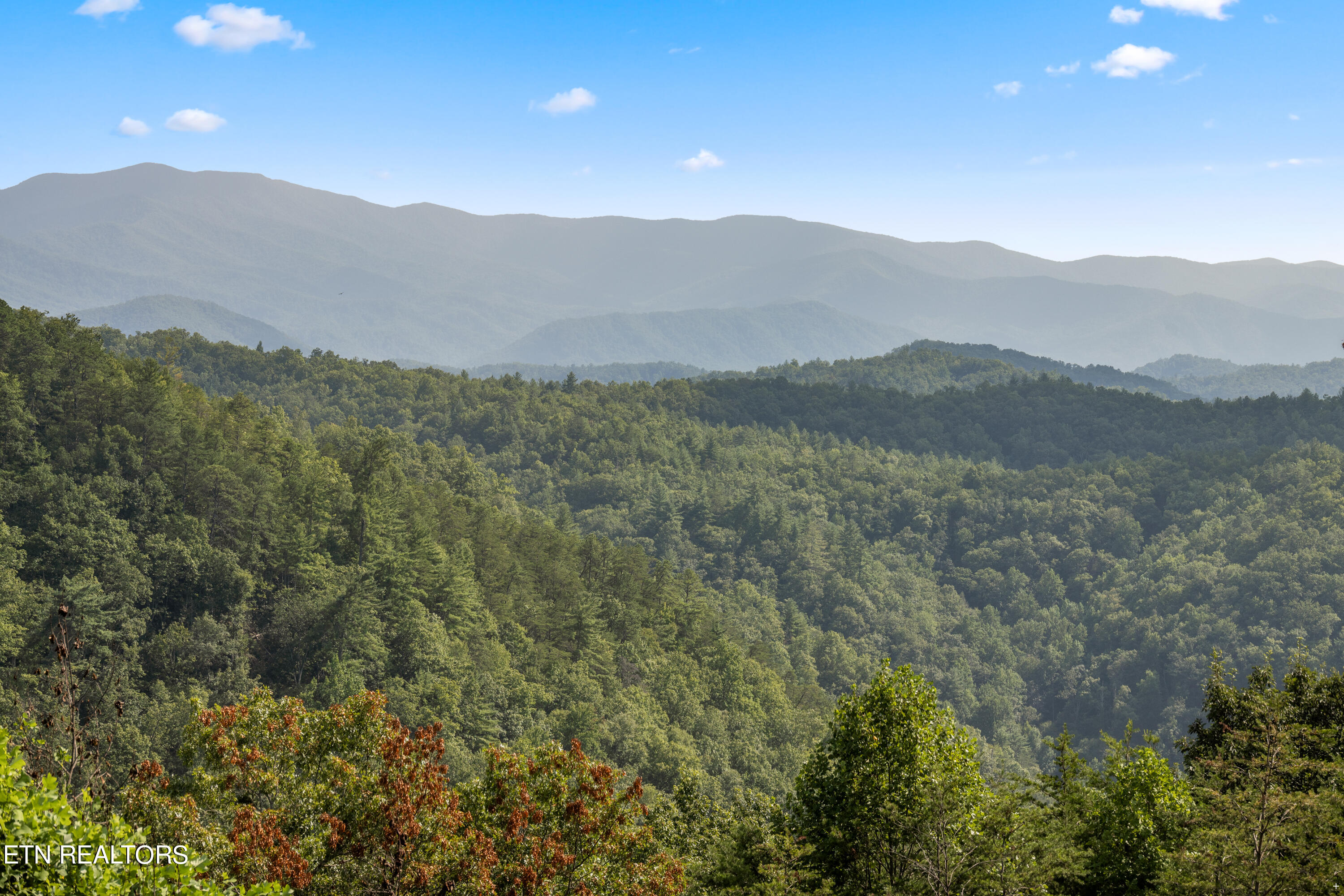 1424 Rocky Top Way Townsend TN 37882
