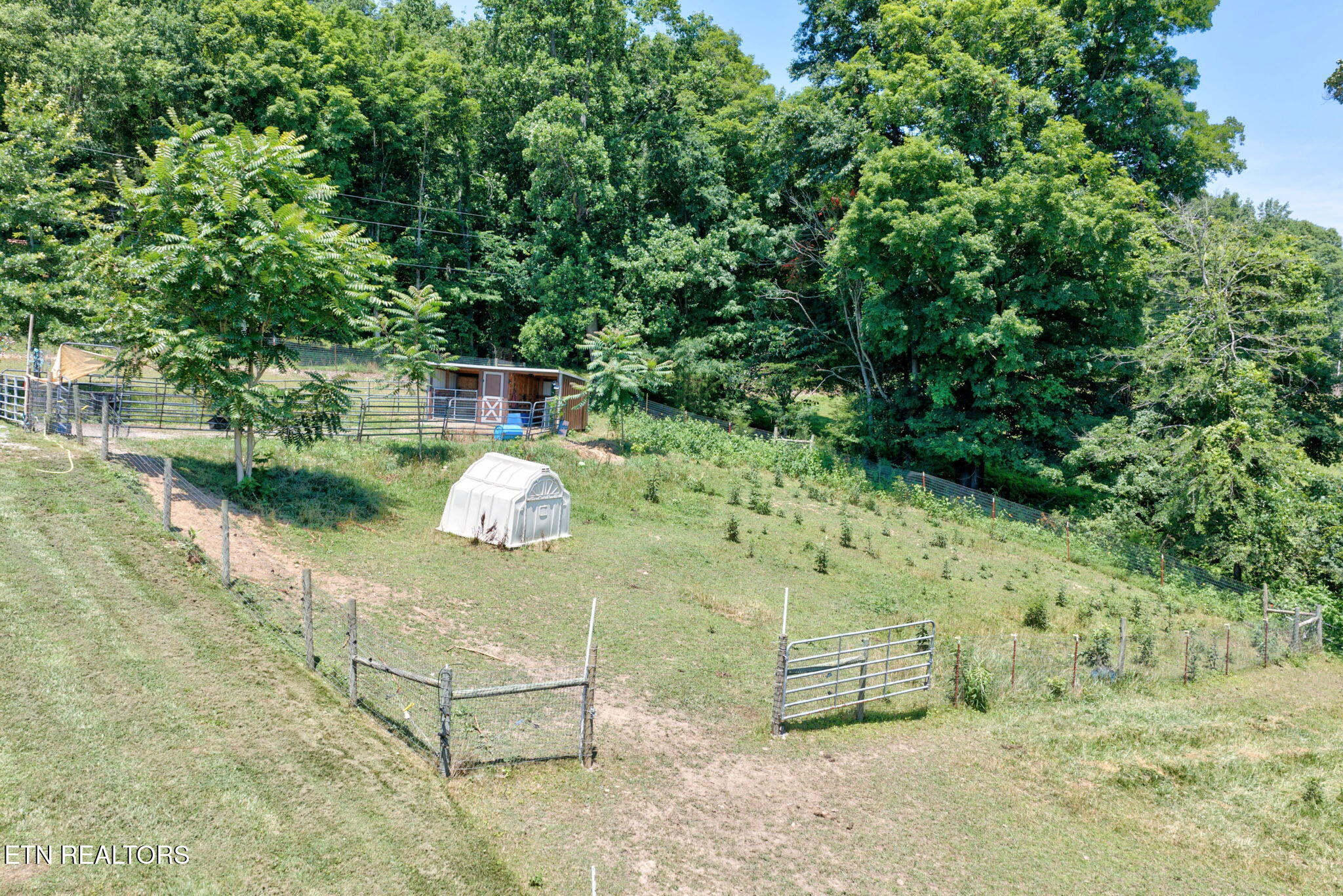 1252 Shellotte Loop Pall Mall TN 38577