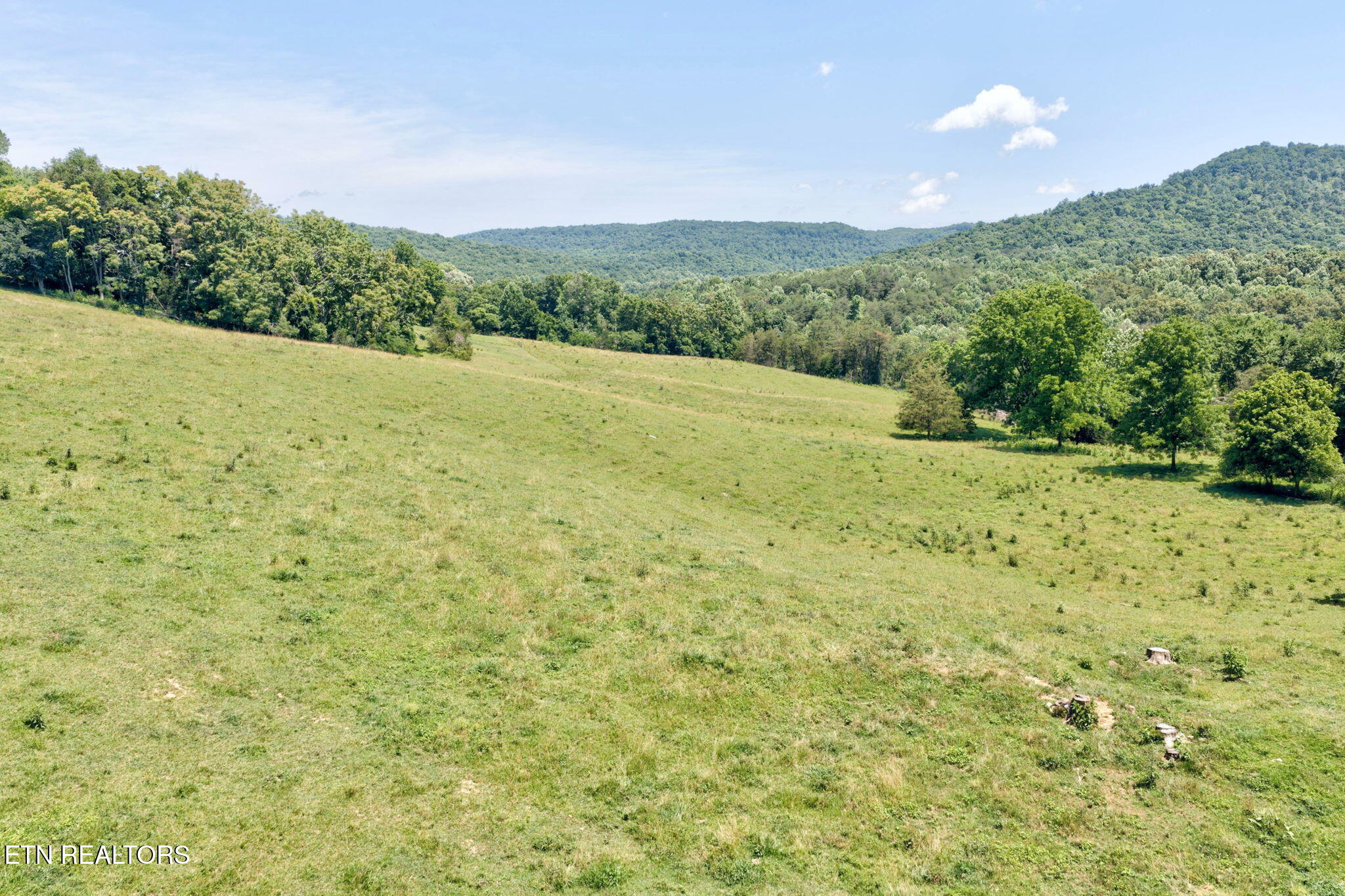 1252 Shellotte Loop Pall Mall TN 38577