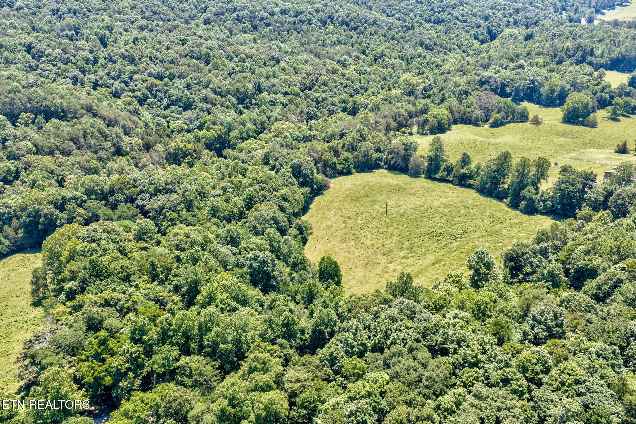 1252 Shellotte Loop Pall Mall TN 38577