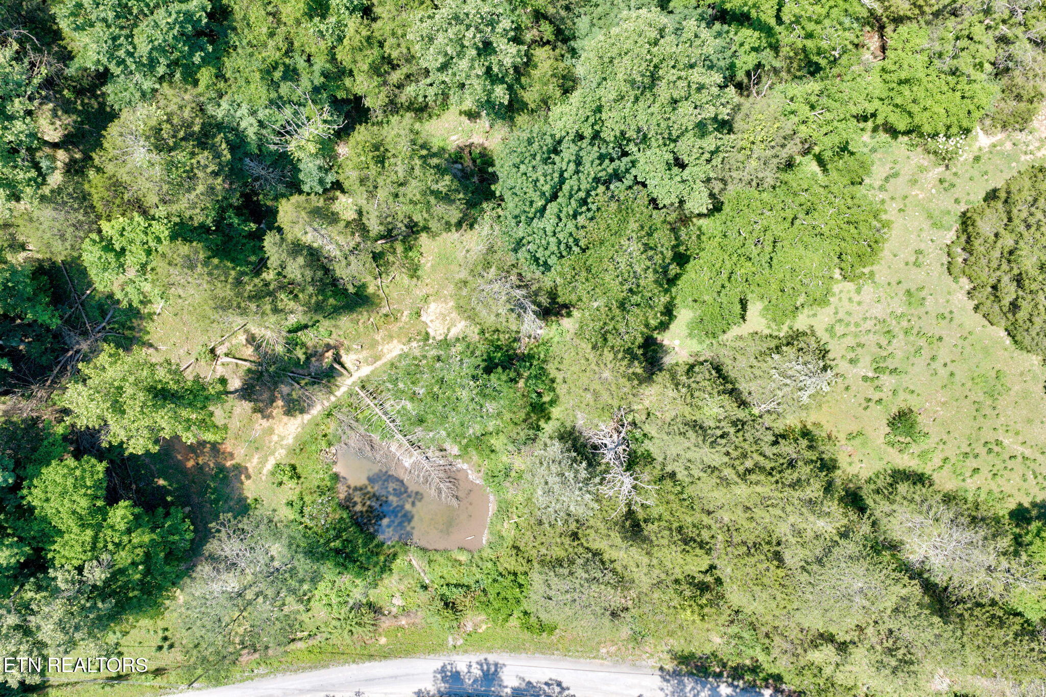 1252 Shellotte Loop Pall Mall TN 38577
