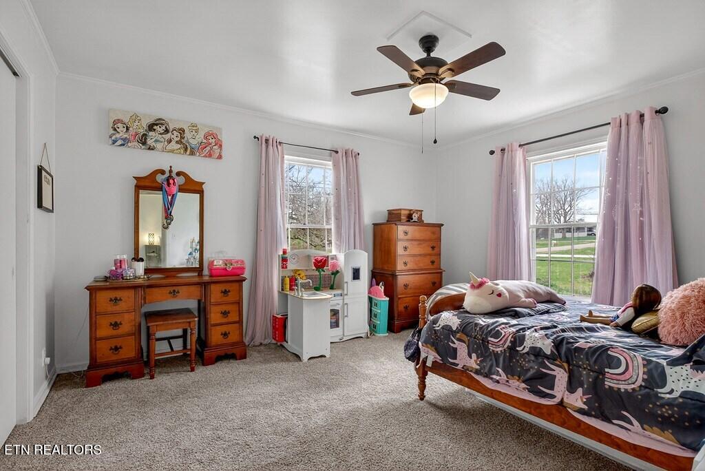 212 Oakland Drive Sparta TN 38583