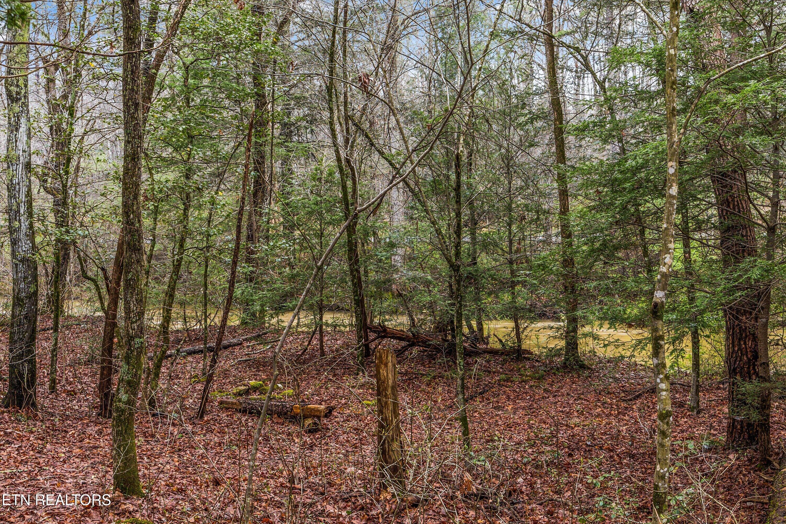 1334 Niggs Creek Road Oneida TN 37841