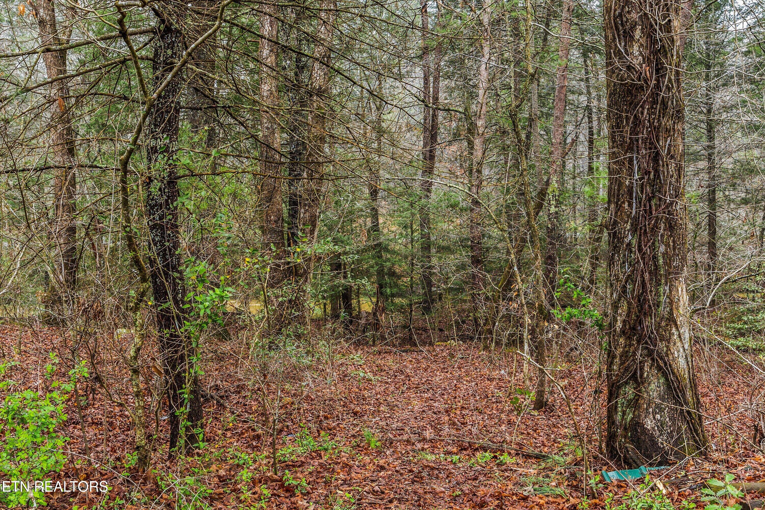 1334 Niggs Creek Road Oneida TN 37841