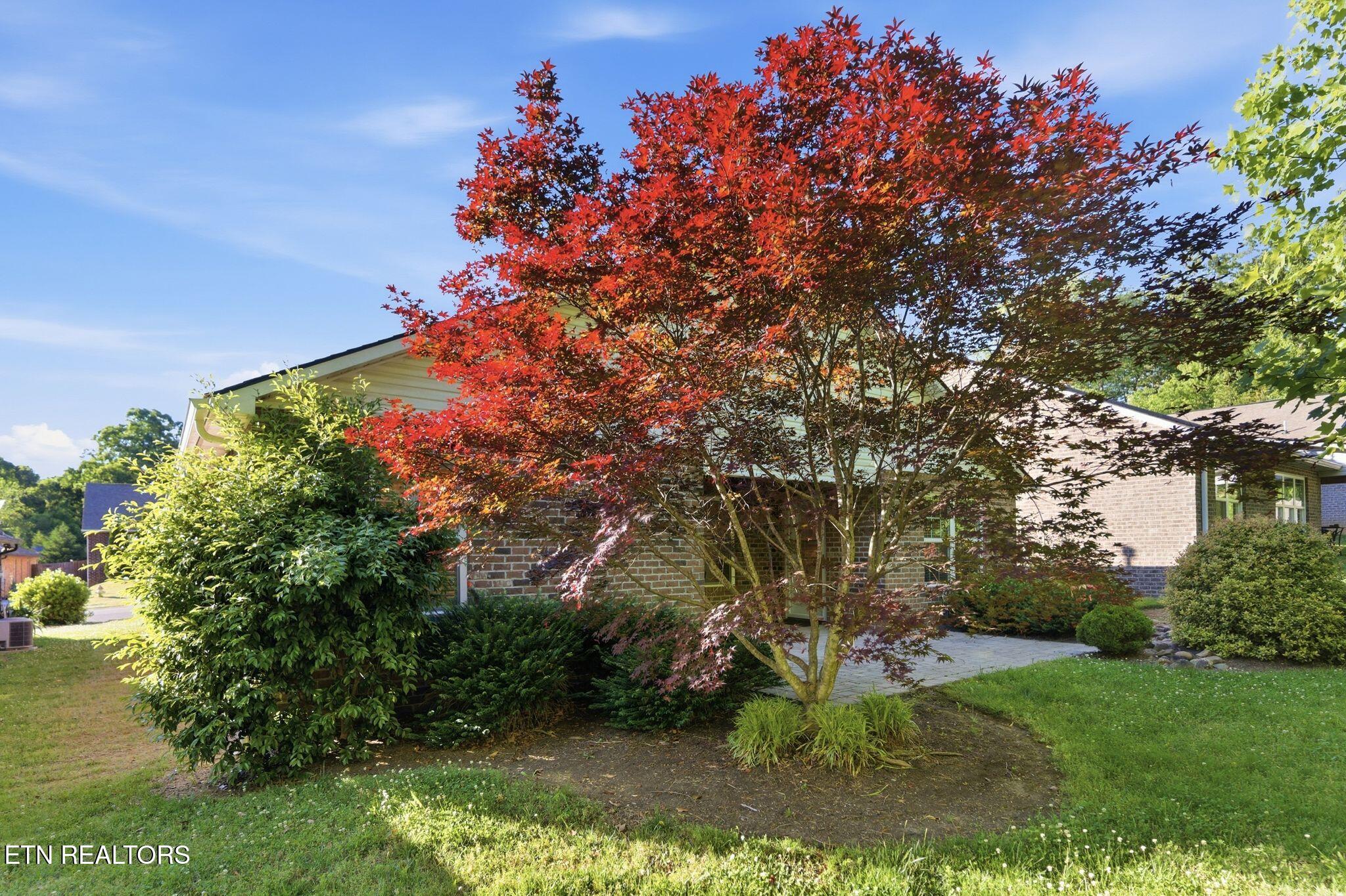 128 Ann Cove Lane Powell TN 37849