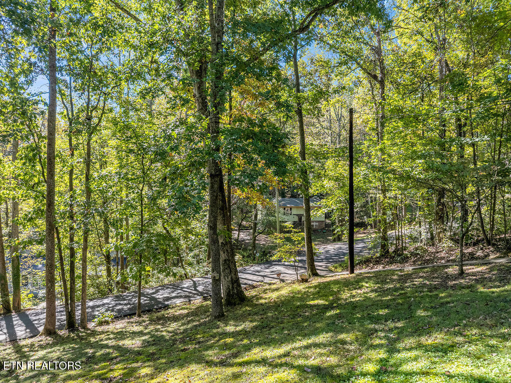 170 Cedar Circle Powell TN 37849