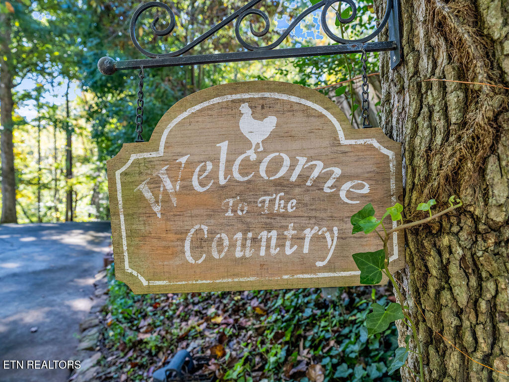170 Cedar Circle Powell TN 37849