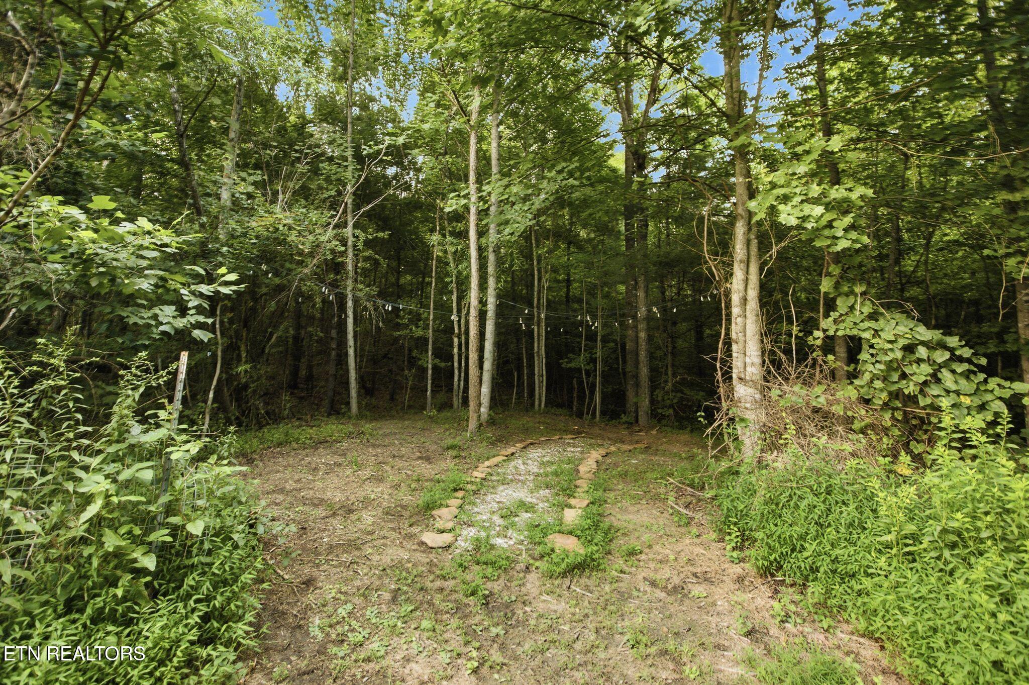 320 Wild Turkey Trail Oneida TN 37841
