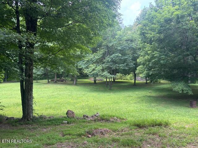 331 Briley Road Spring City TN 37381