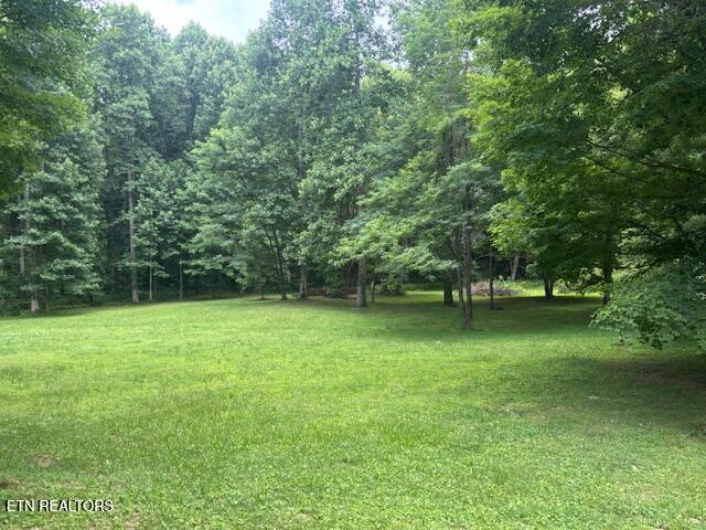 331 Briley Road Spring City TN 37381