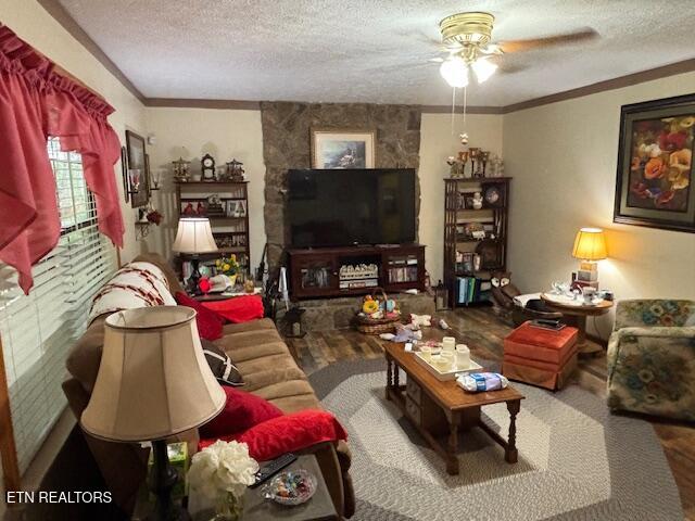 331 Briley Road Spring City TN 37381