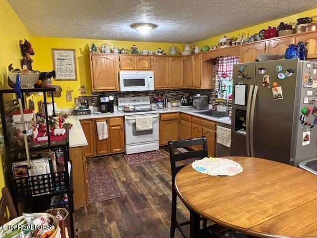 331 Briley Road Spring City TN 37381